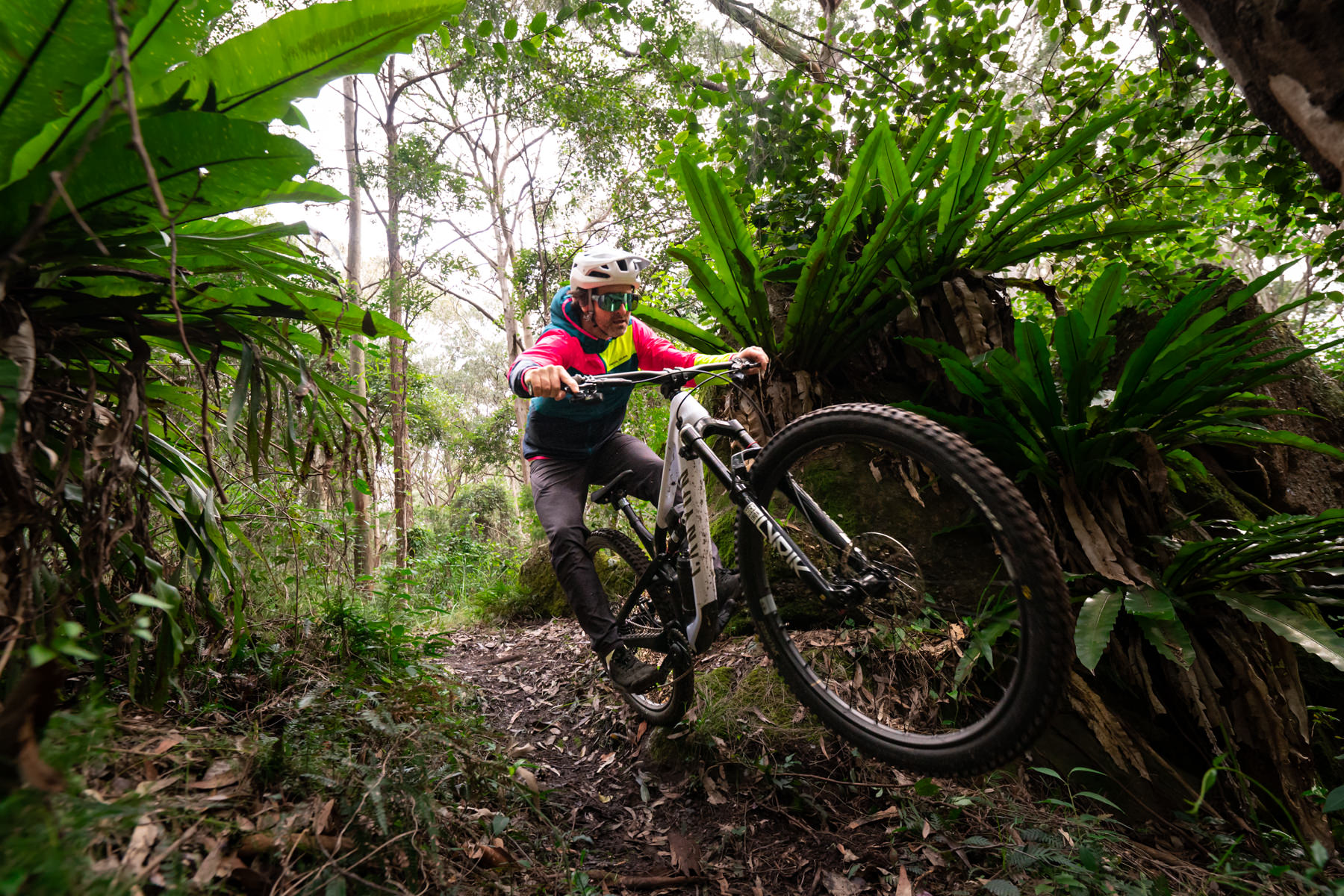 canyon spectral ltd rockshox flight attendant