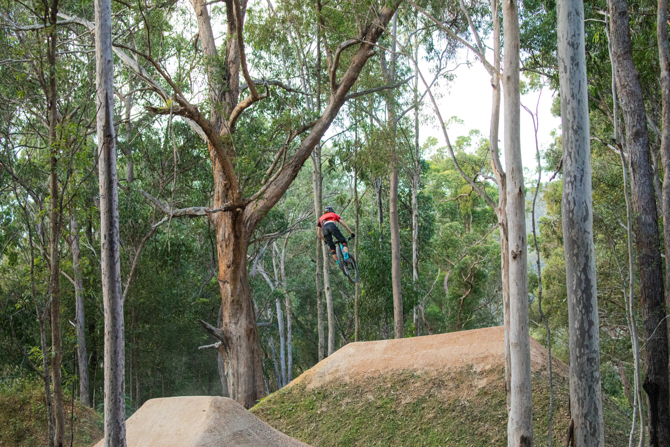 Where The Green Meets The Gold All Year Riding On The Gold Coast