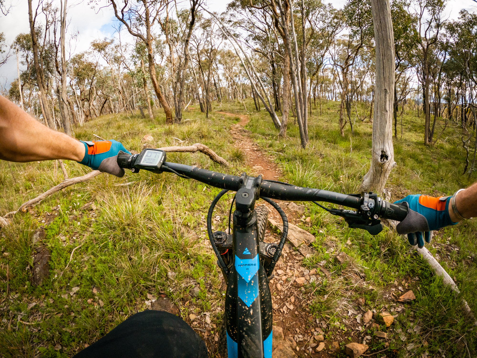 avanti hammer-e lt2 emtb electric bosch