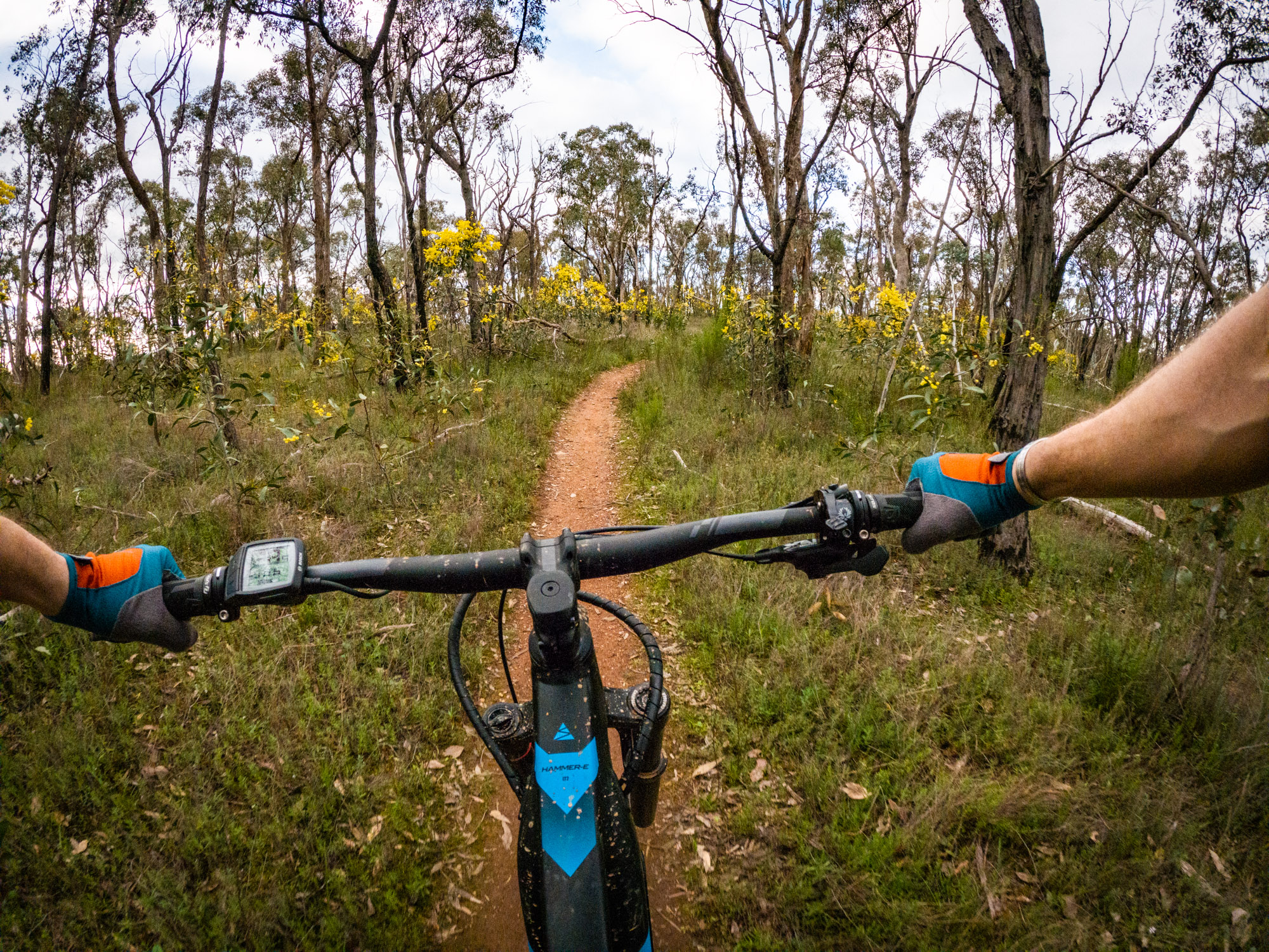 avanti hammer-e lt2 emtb electric bosch