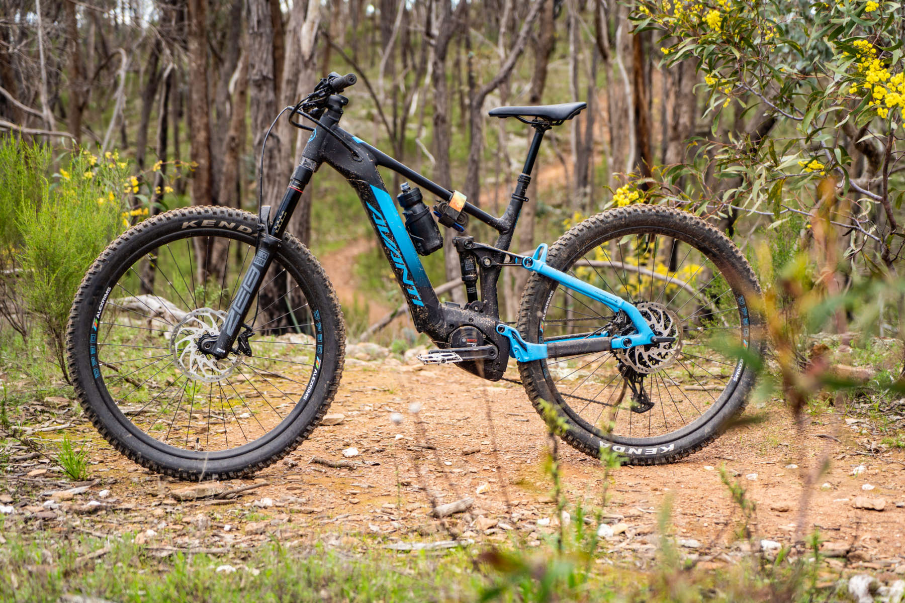 Avanti hammer mountain online bike