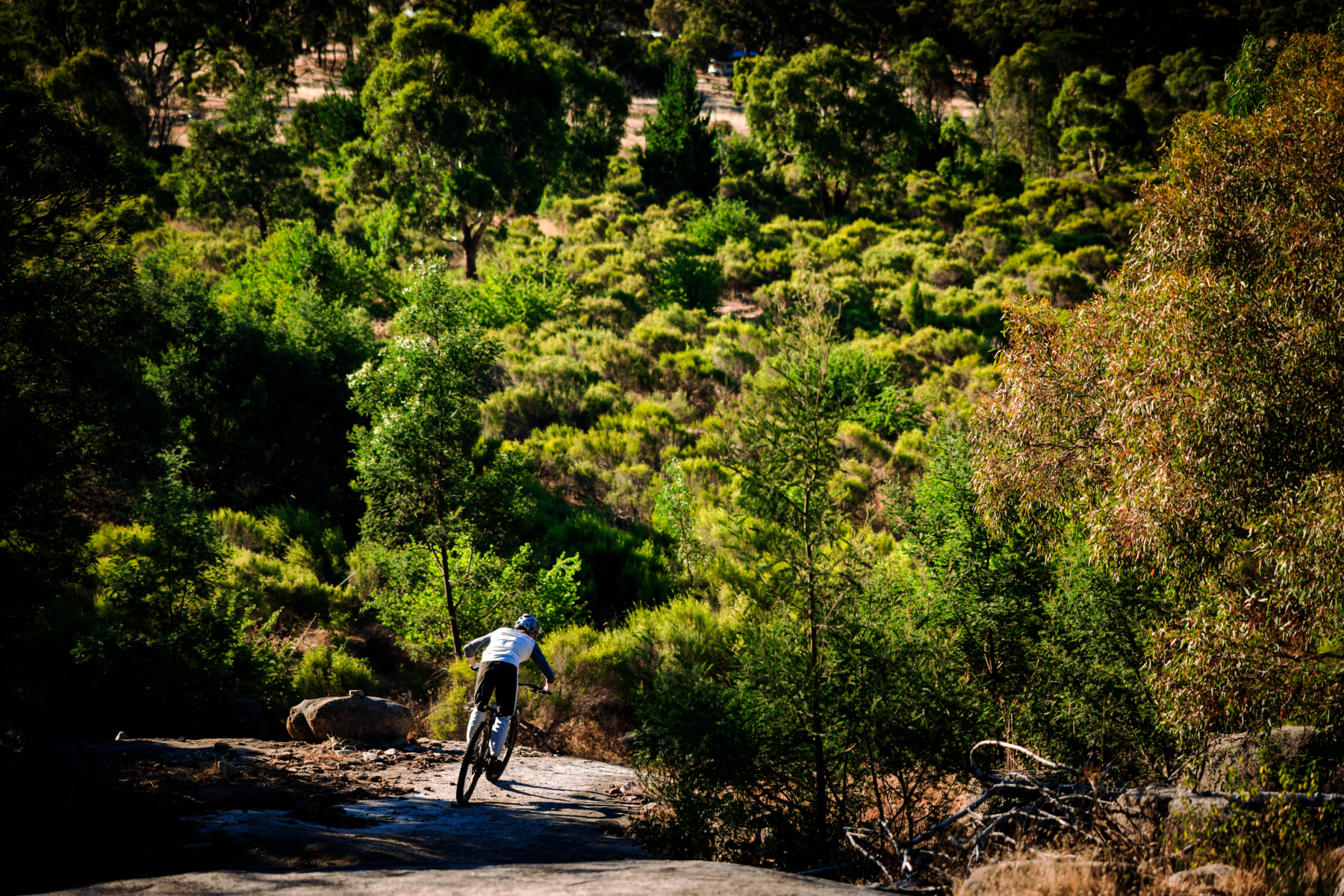 Best Mountain Bike Trails in Victoria: Harcourt