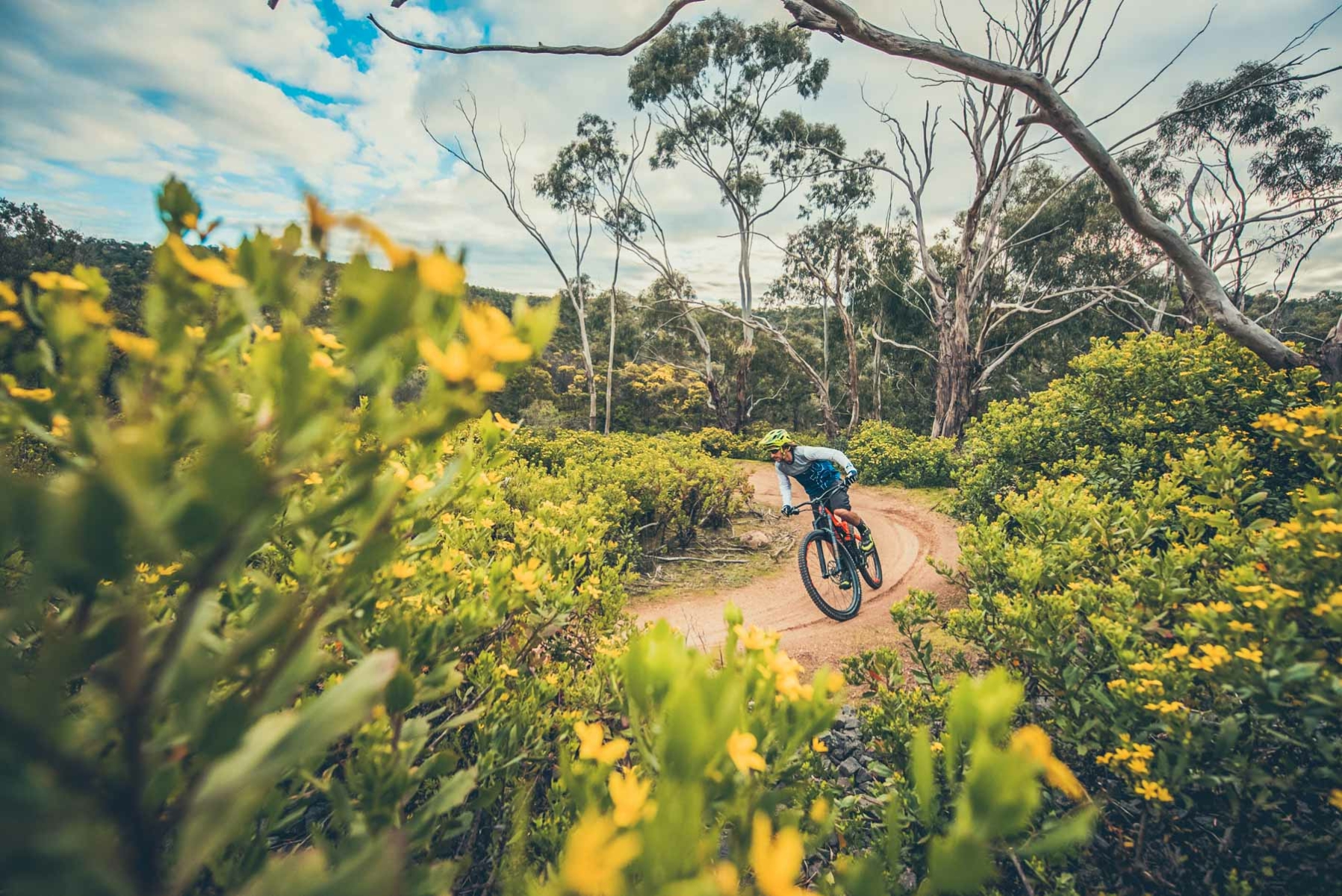 Best mountain bike trails Melbourne: You Yangs mountain bike park