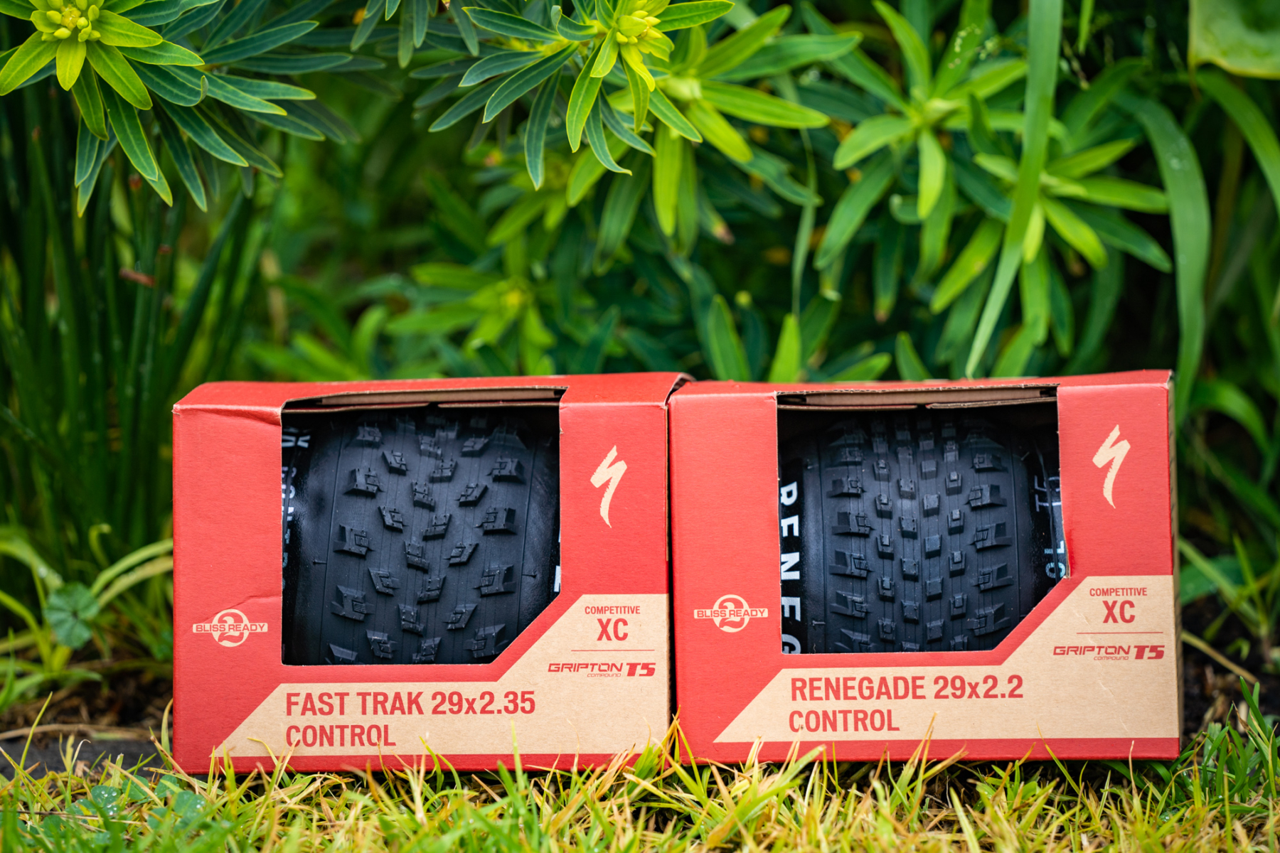 specialized fast trak renegade t5 control tyres