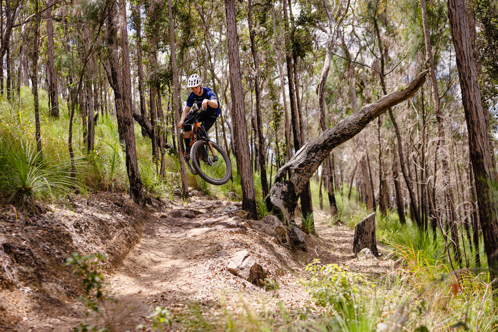 gawton mountain bike trails