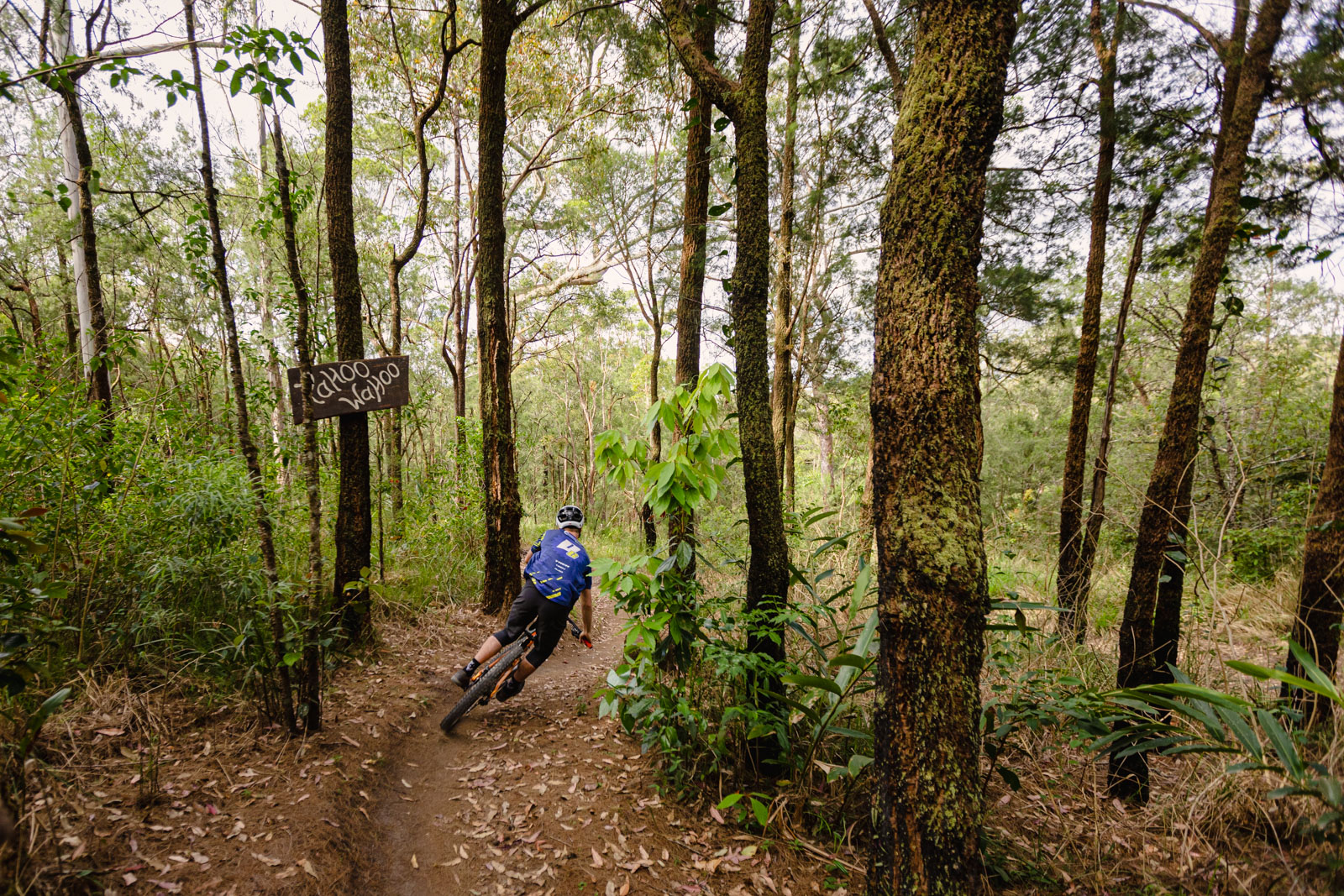 gawton mountain bike trails