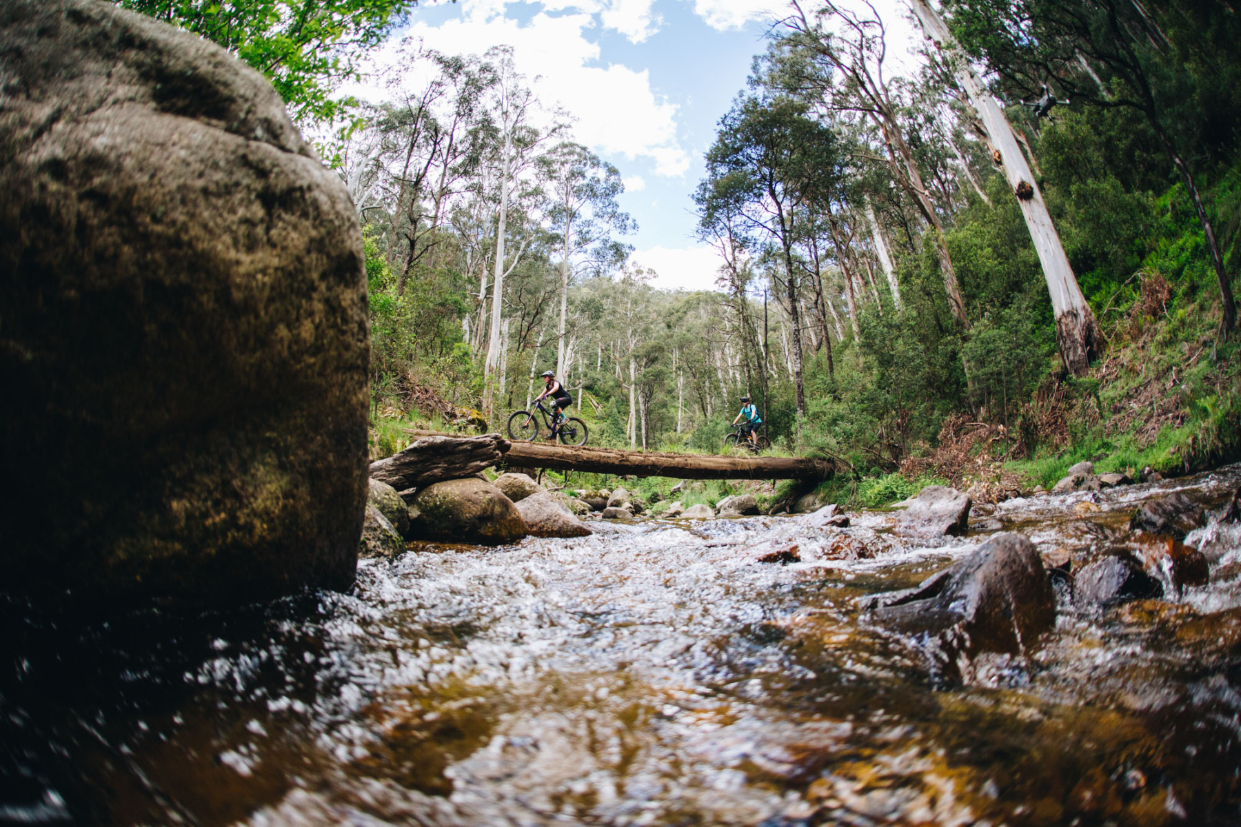 Delatite River Trail