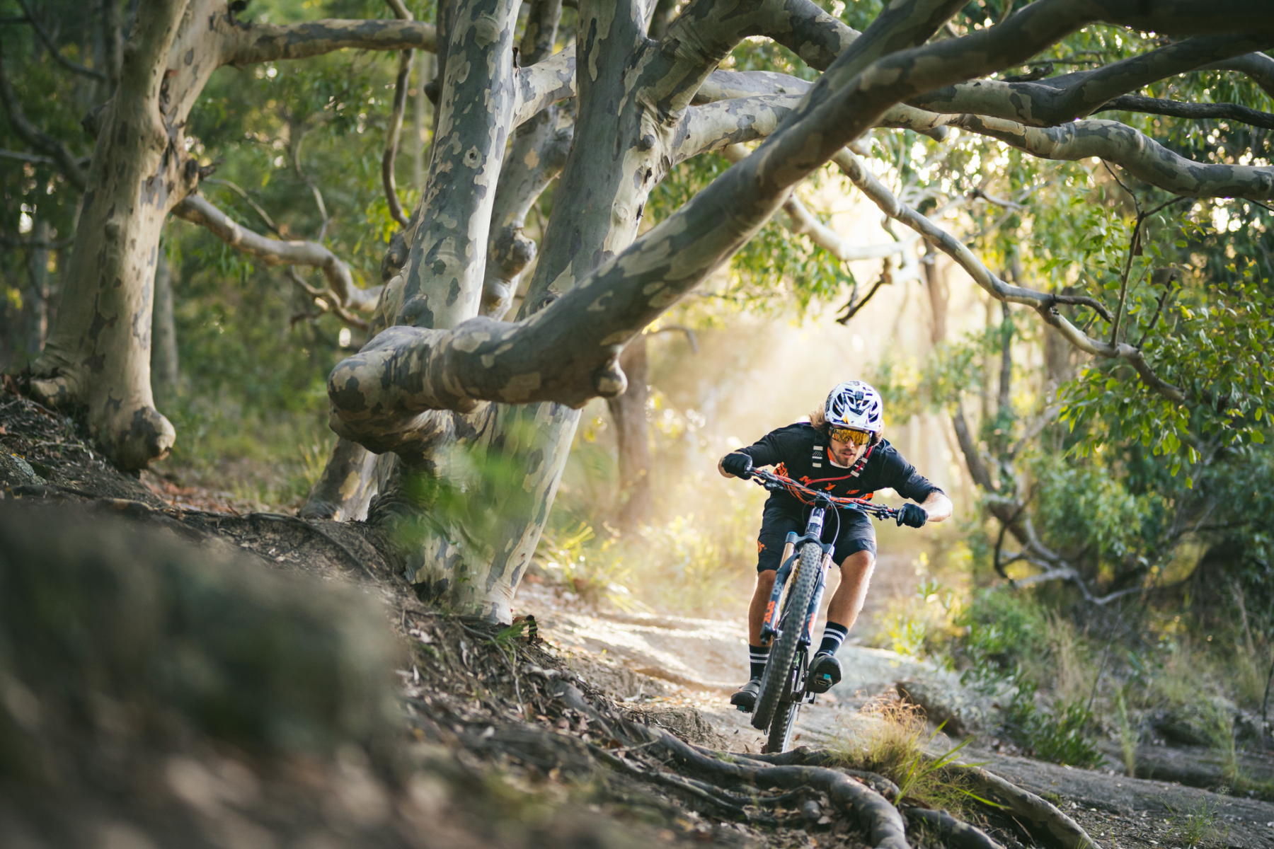 trail bike tours nsw