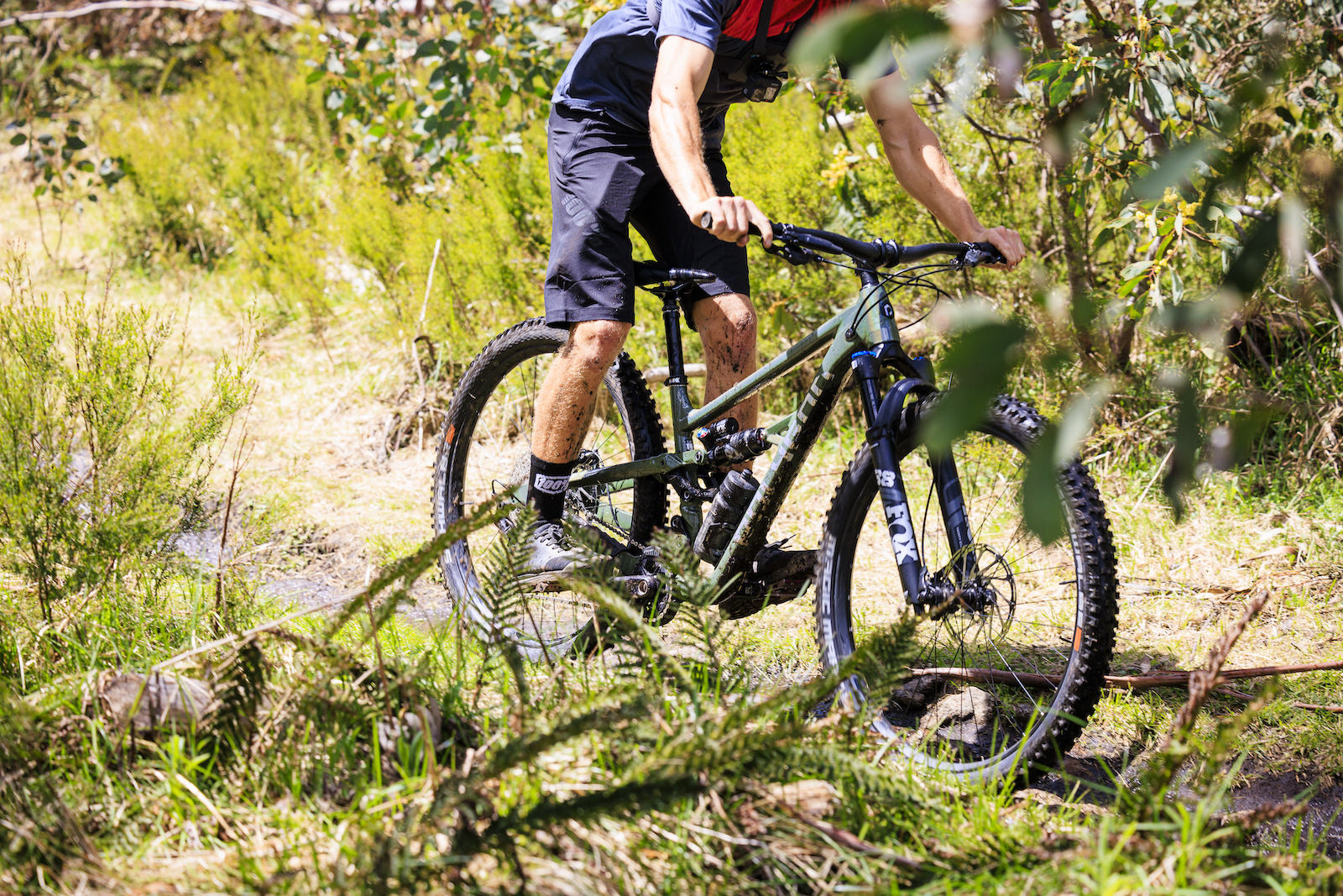 Is dual suspension better suited to a beginner mountain biker?