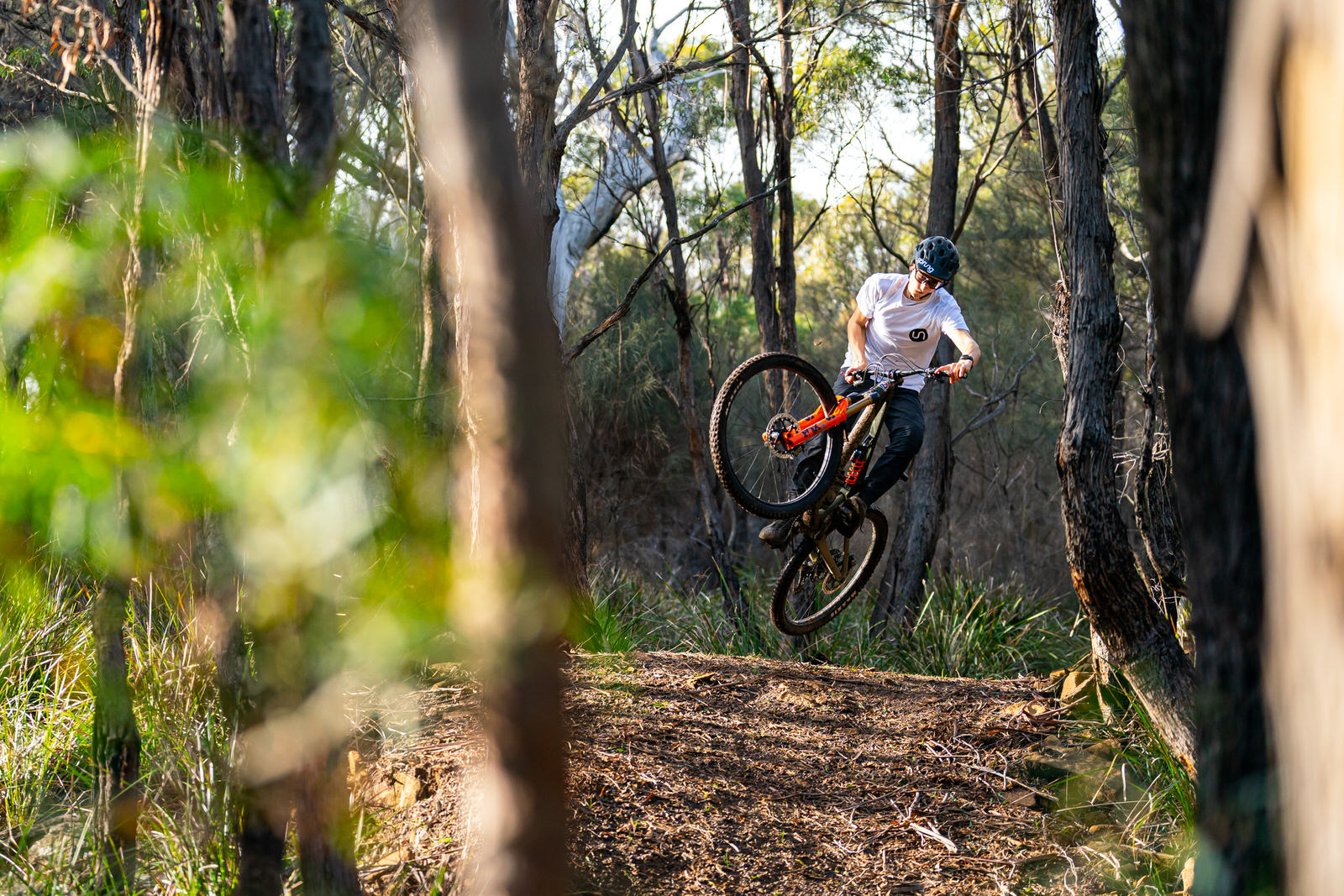 Tippogoree Hills is home to some of the best mountain bike trails in tasmania