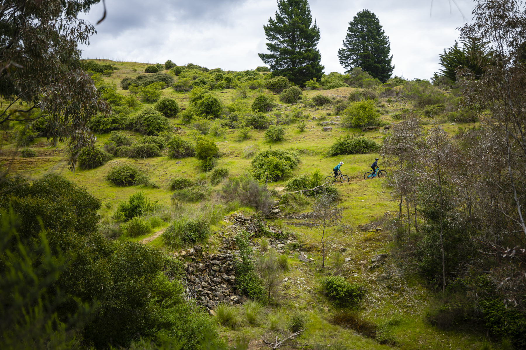 goldfields track dry diggings daylesford castlemaine
