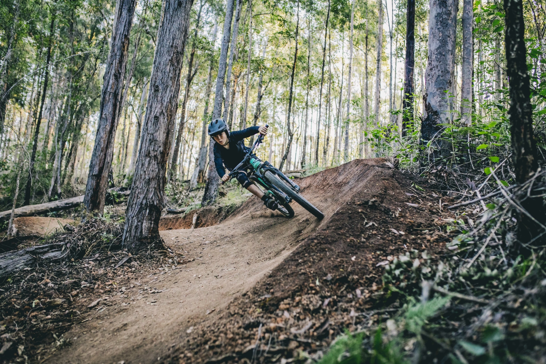 trail bike tours nsw