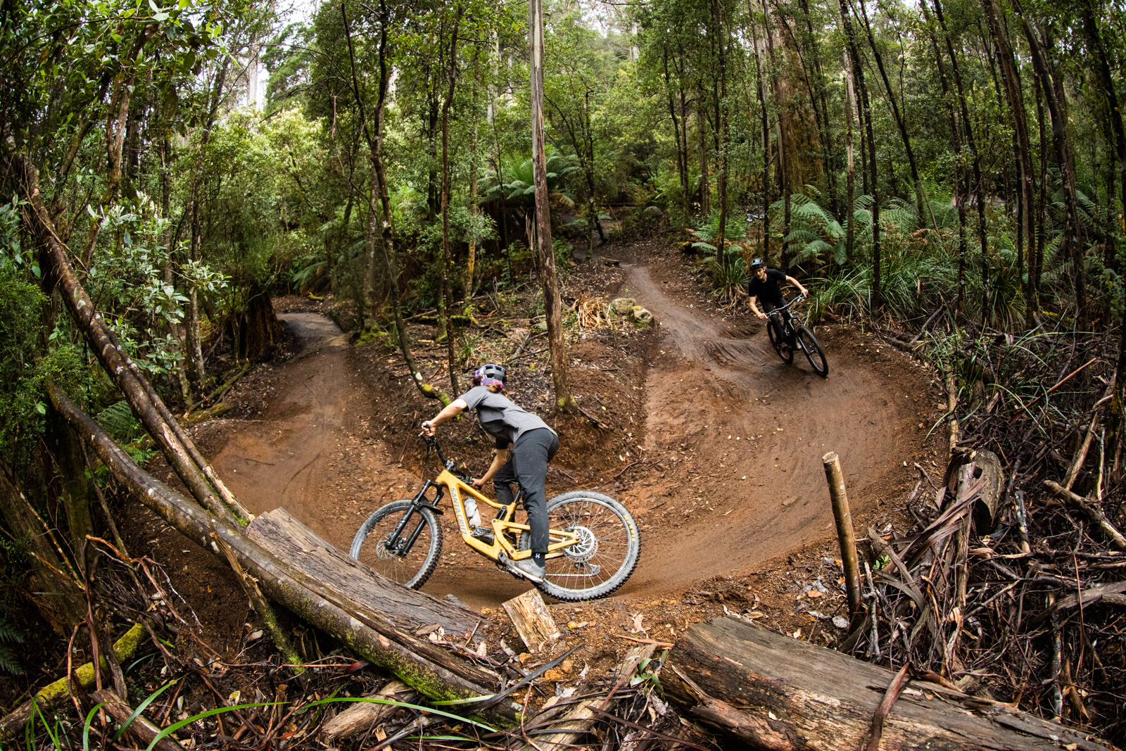 Blue Derby features smooth flowing berms as well as plenty of rock tech trails