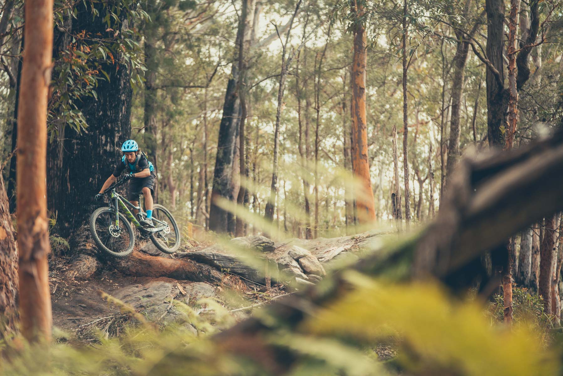 Old Man s Valley Hornsby Mountain Bike Trails