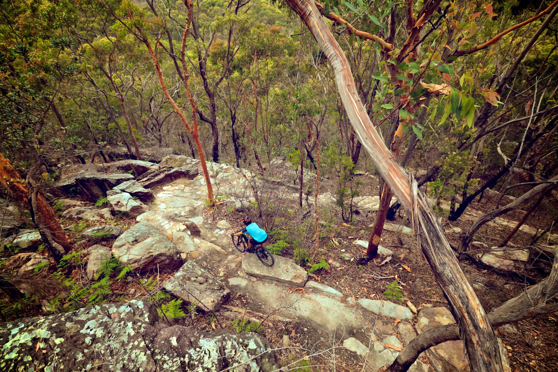 a mountain biker riding the Manly Dam mtb trails
