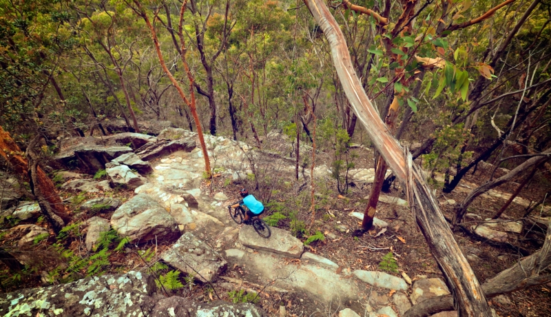 a mountain biker riding the Manly Dam mtb trails