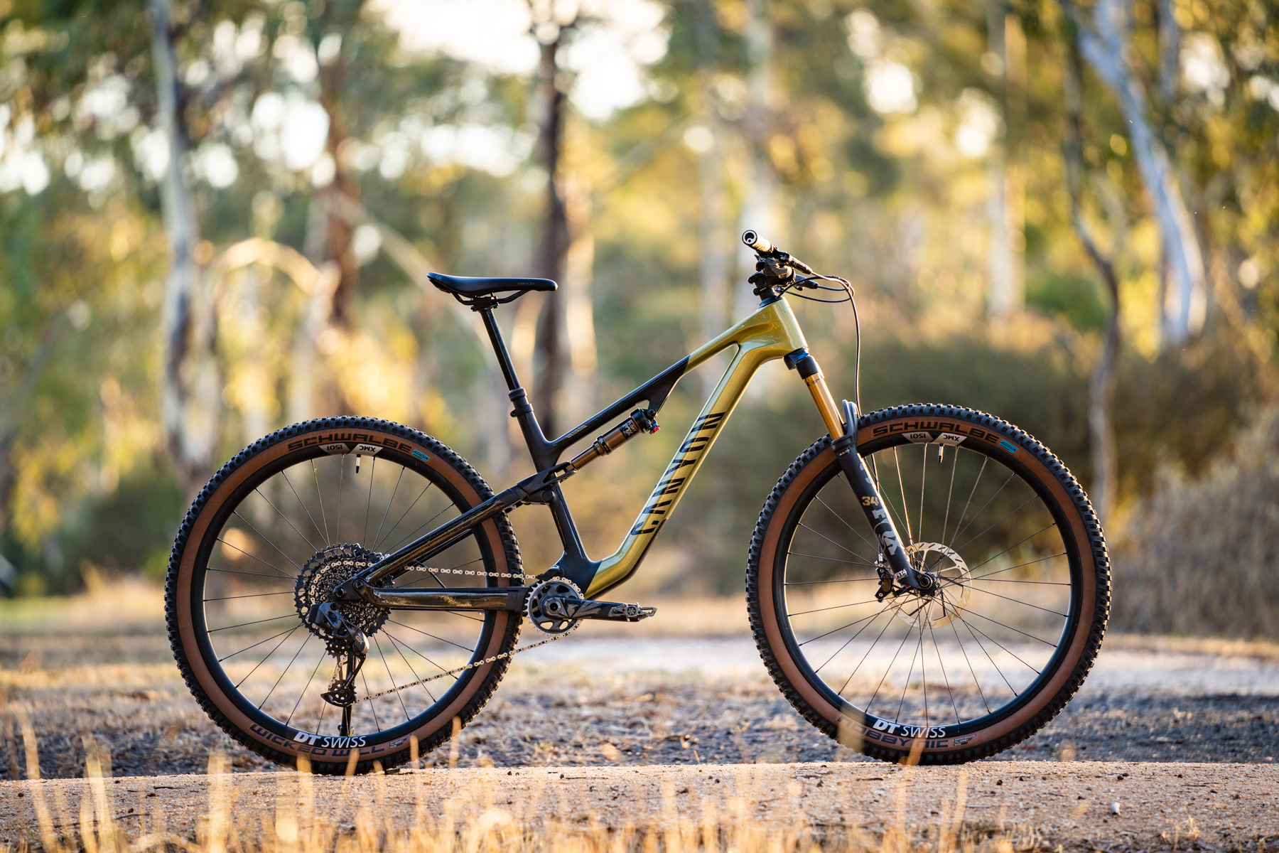 Canyon Neuron Review A Speedy And Light Weight Trail Bike