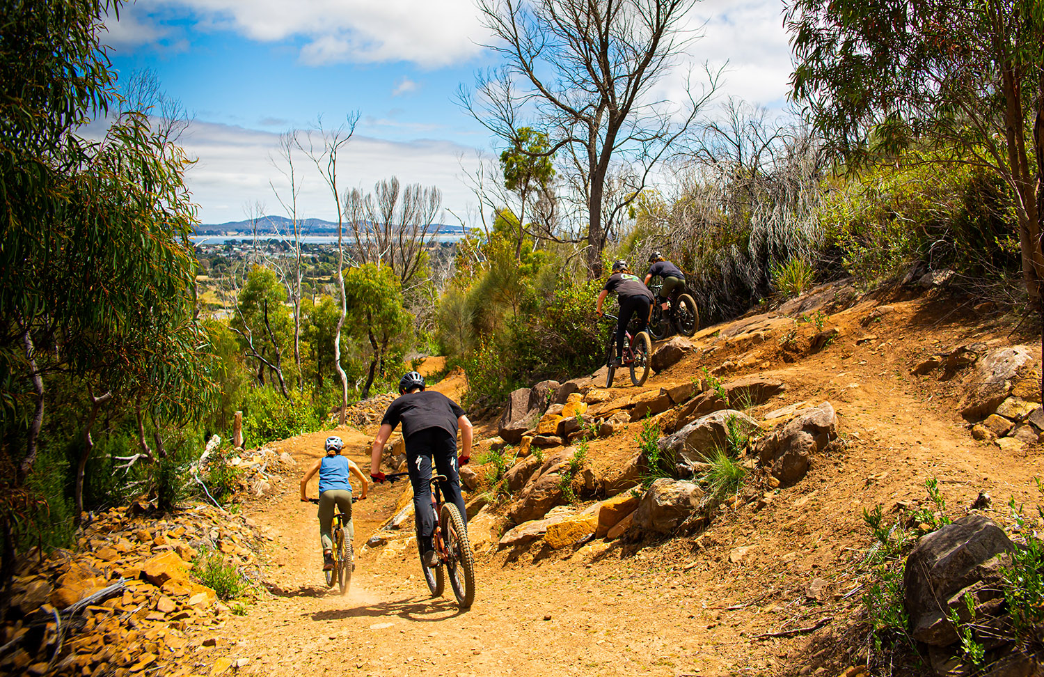 george town's mountain bike trails are some of the best in tasmania