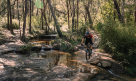Thumbnail of http://close%20to%20sydney,%20the%20royal%20national%20park%20mtb%20trails%20are%20a%20great%20spot%20to%20ride