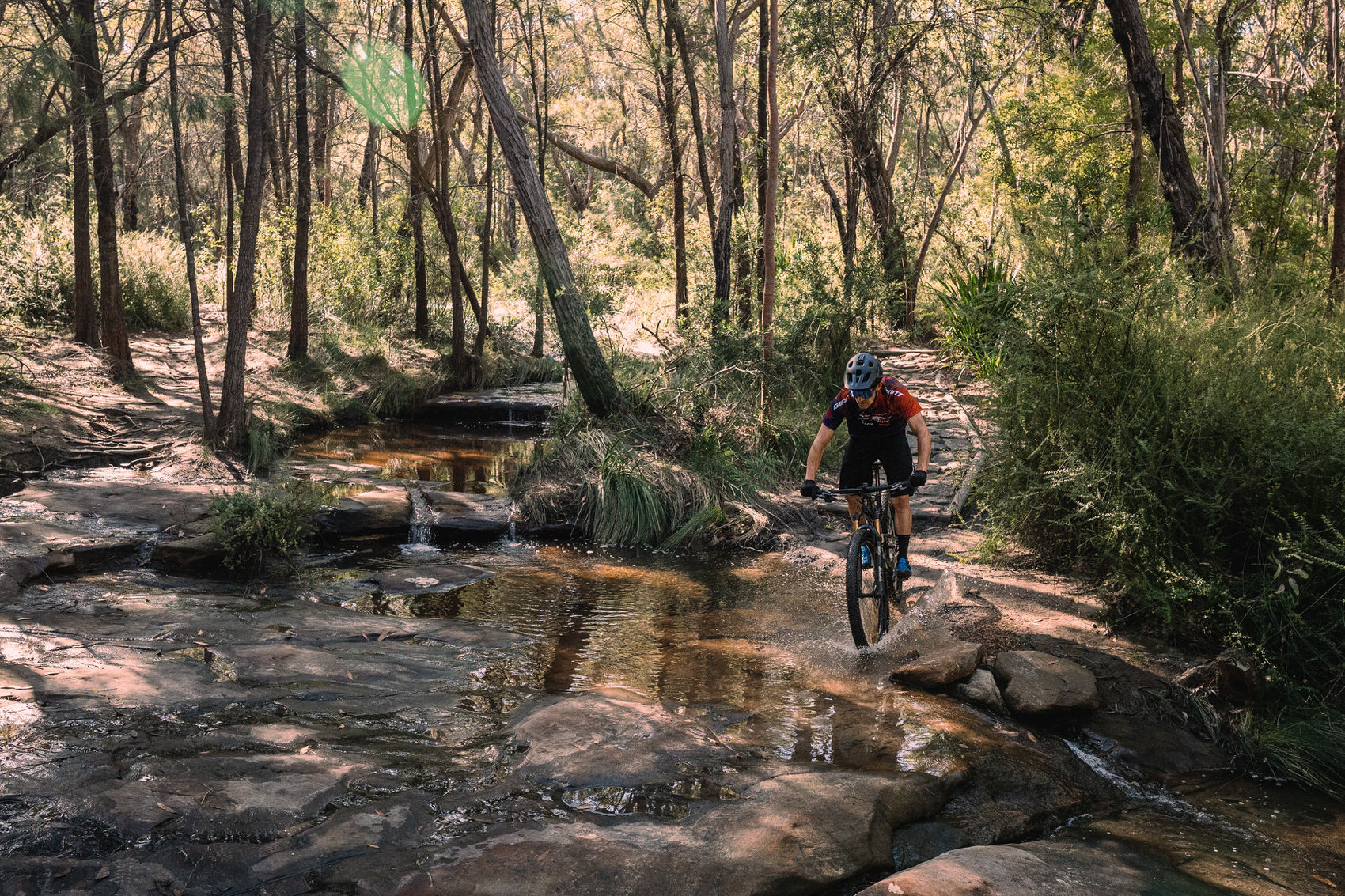 close to sydney, the royal national park mtb trails are a great spot to ride