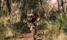Thumbnail of http://you'll%20find%20the%20royal%20national%20park%20mtb%20trails%20just%20south%20of%20Sydney