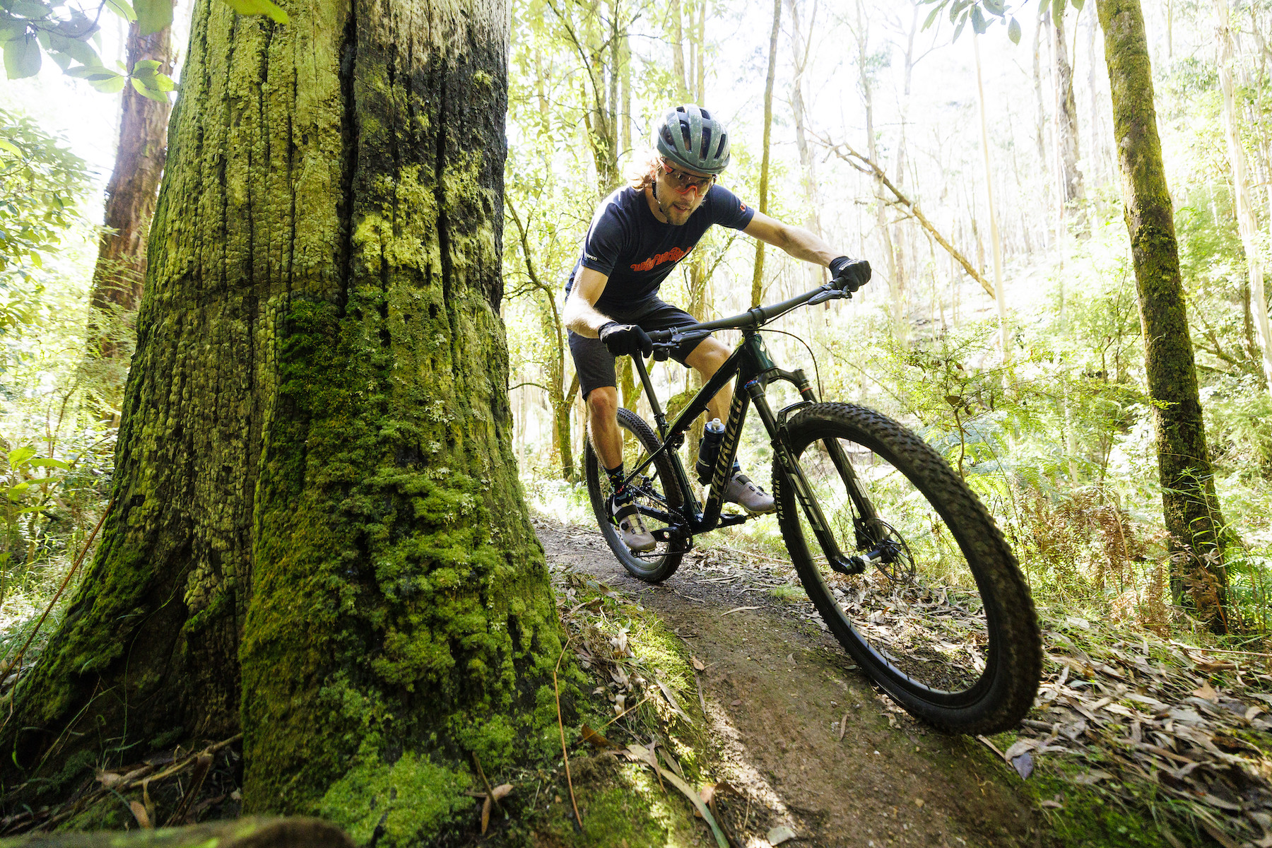 The Fox 34 Fork is a Trail Smoothing and Fun One [Review] - Singletracks Mountain  Bike News