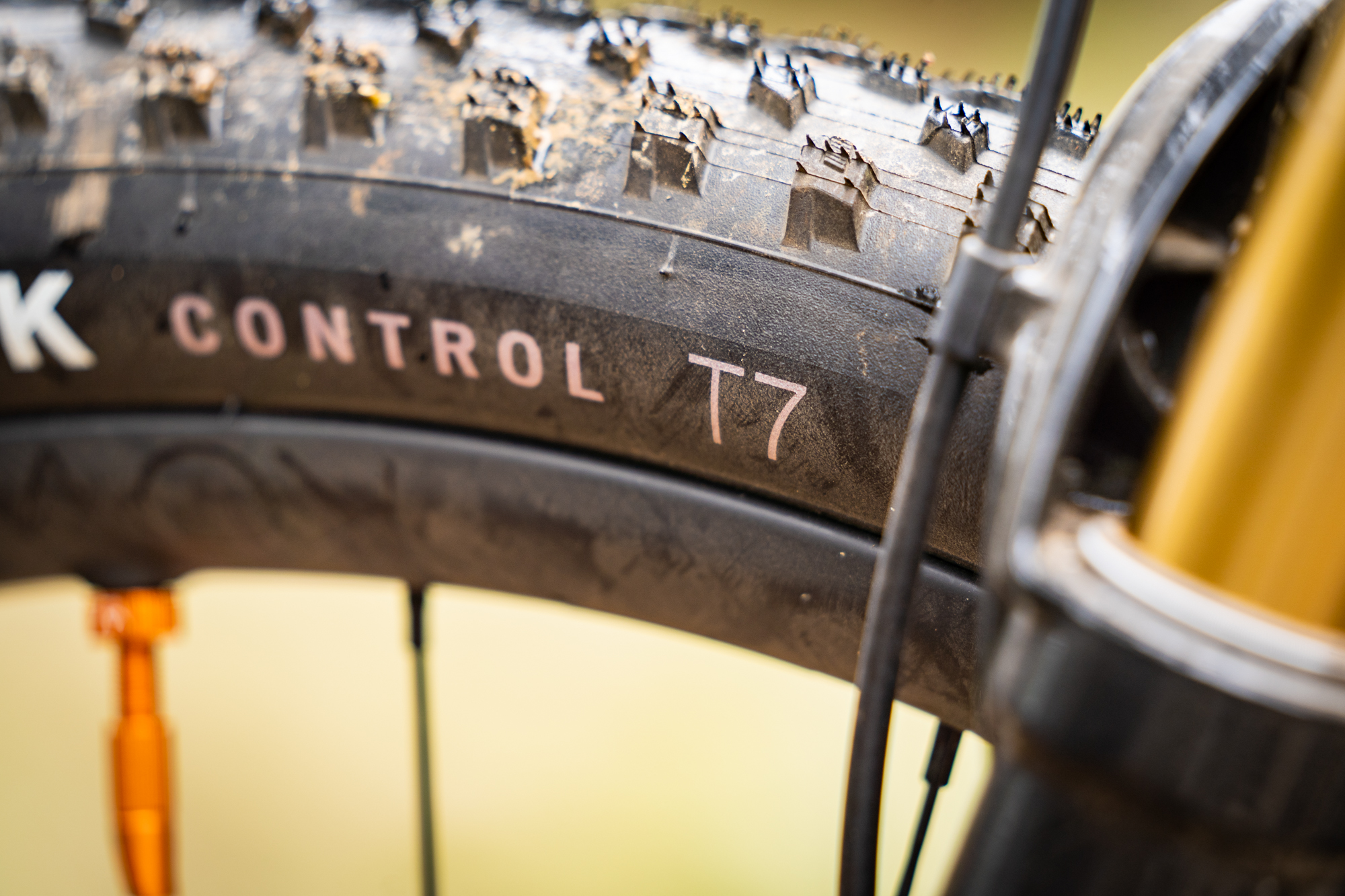 Ground control fat online bike tires