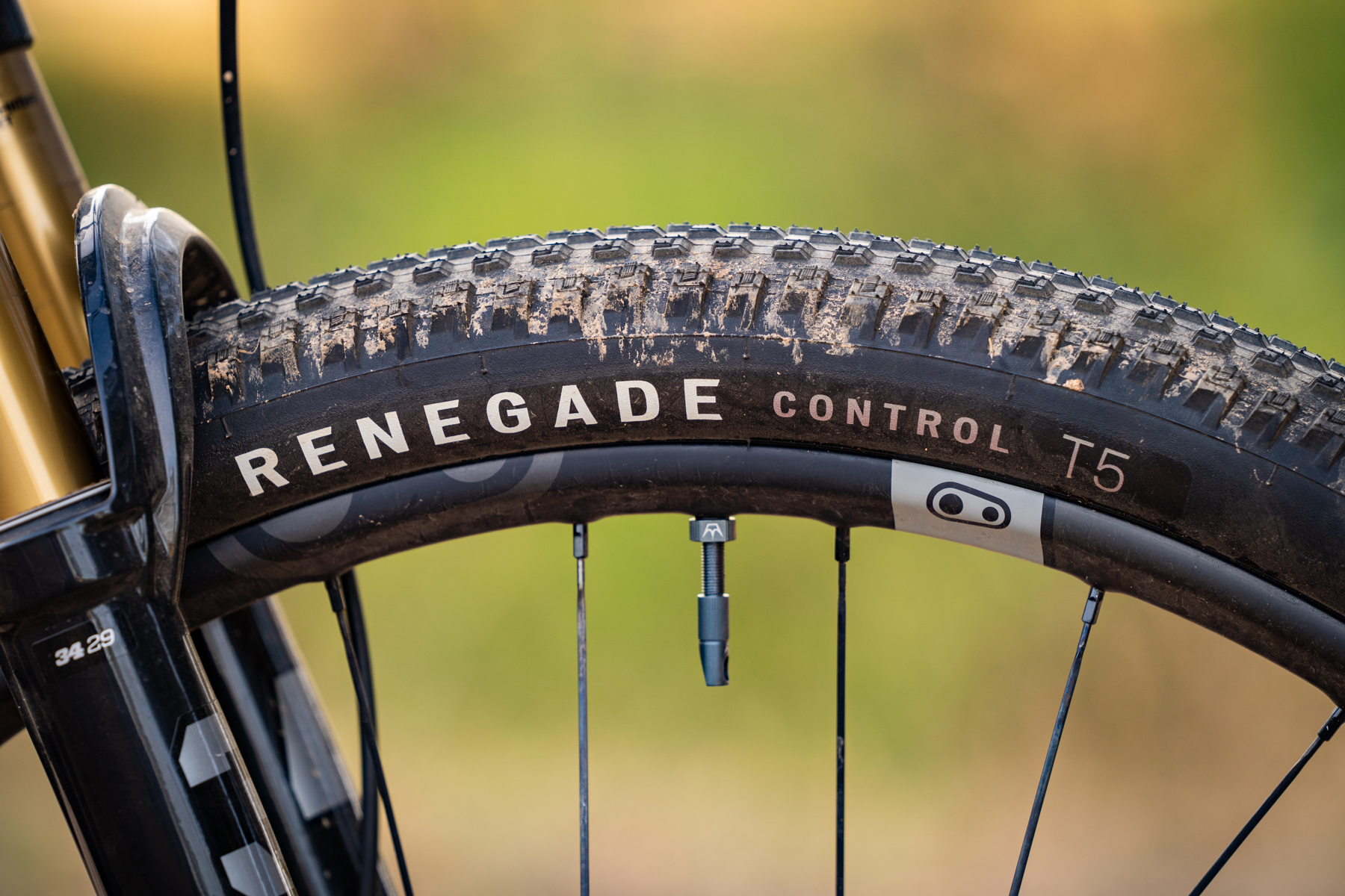 specialized chisel ltd renegade control t5 2.35in tyres tires