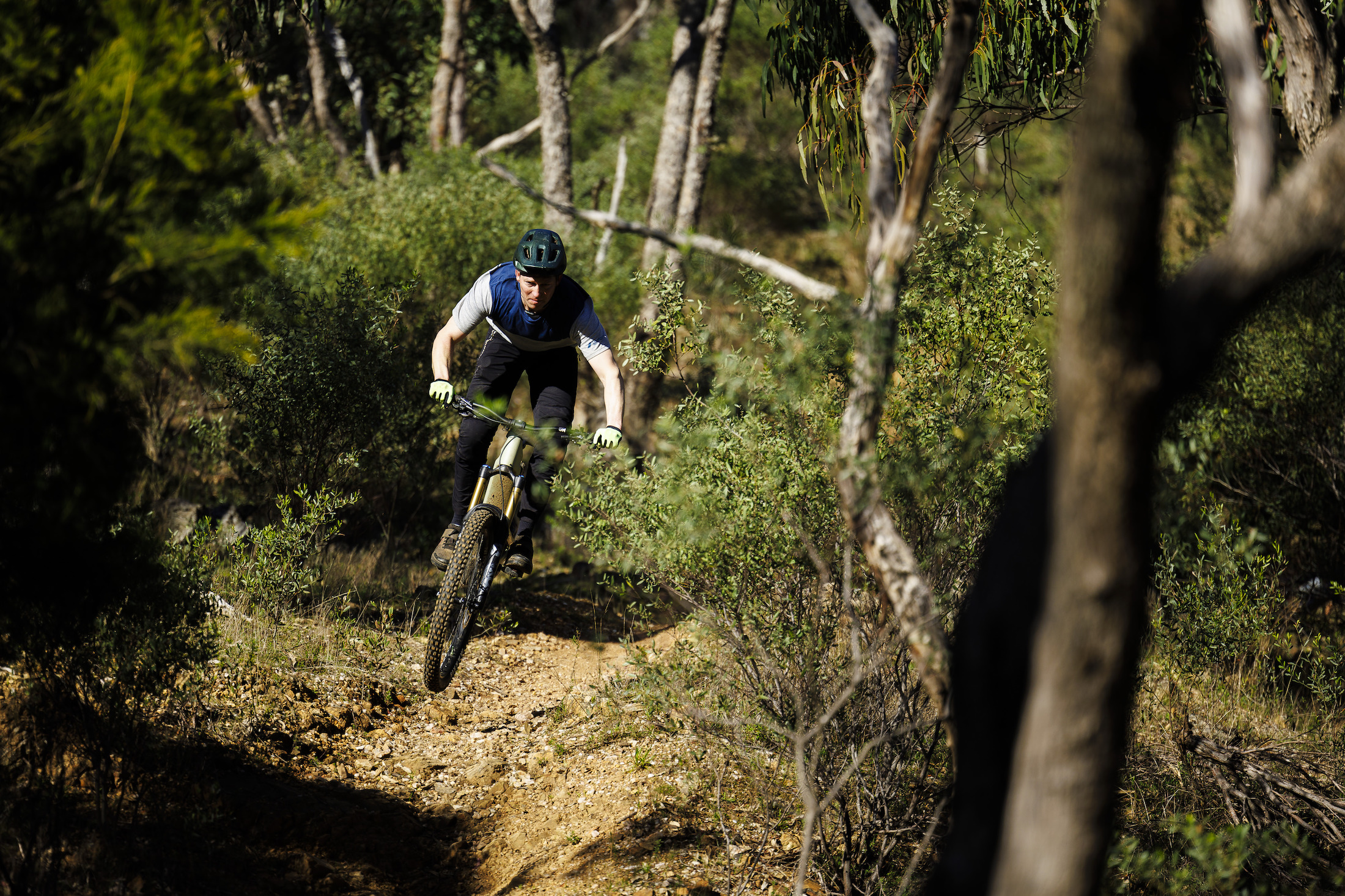 2023 canyon torque:on cf 9 emtb electric