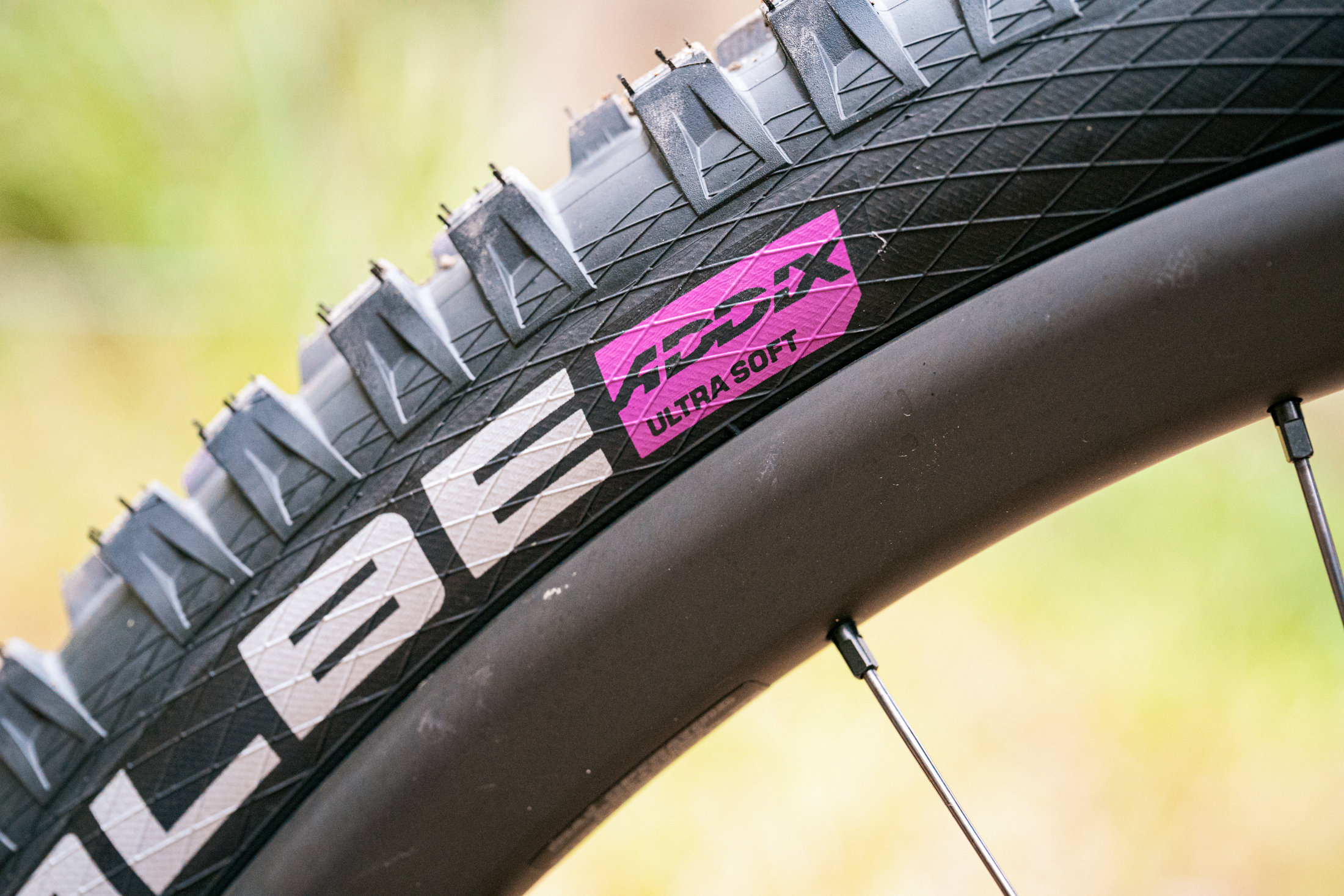 Review The Flow team taste test 8 different tyres from the