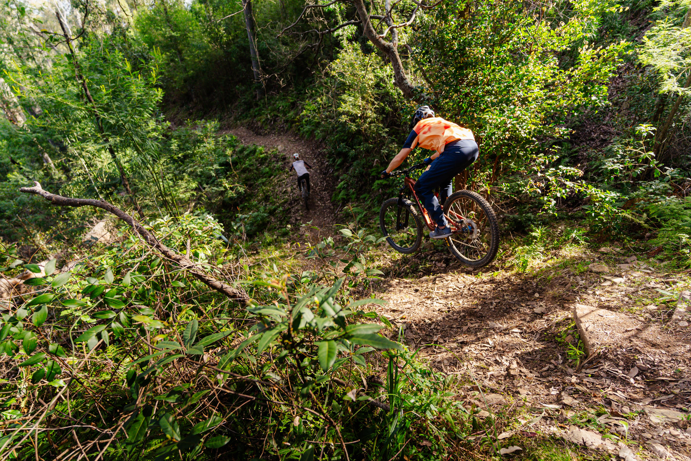 Mogo trails