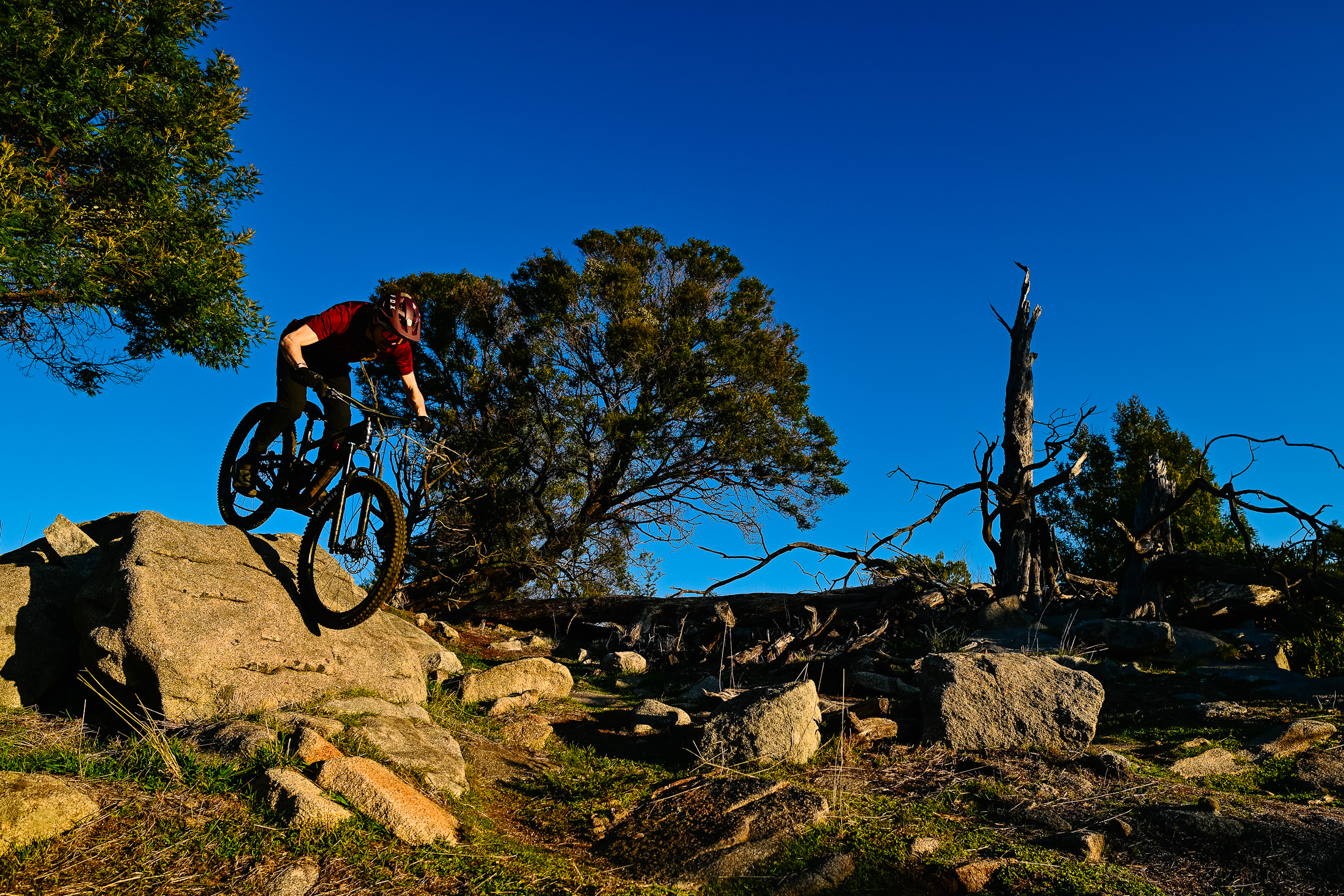 2024 giant trance x advanced 1