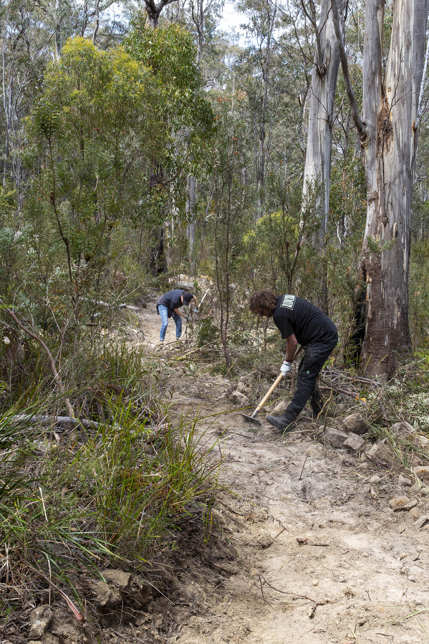 Tasman Peninsula Mountain Bike