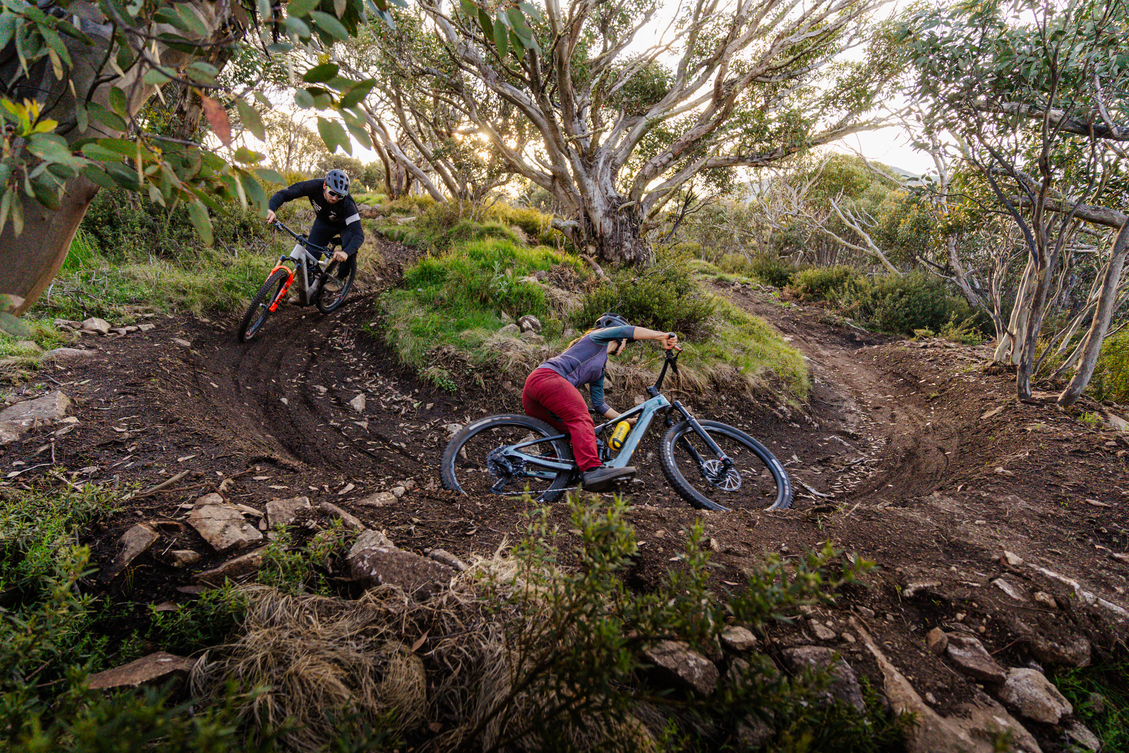 Buller e-mtb