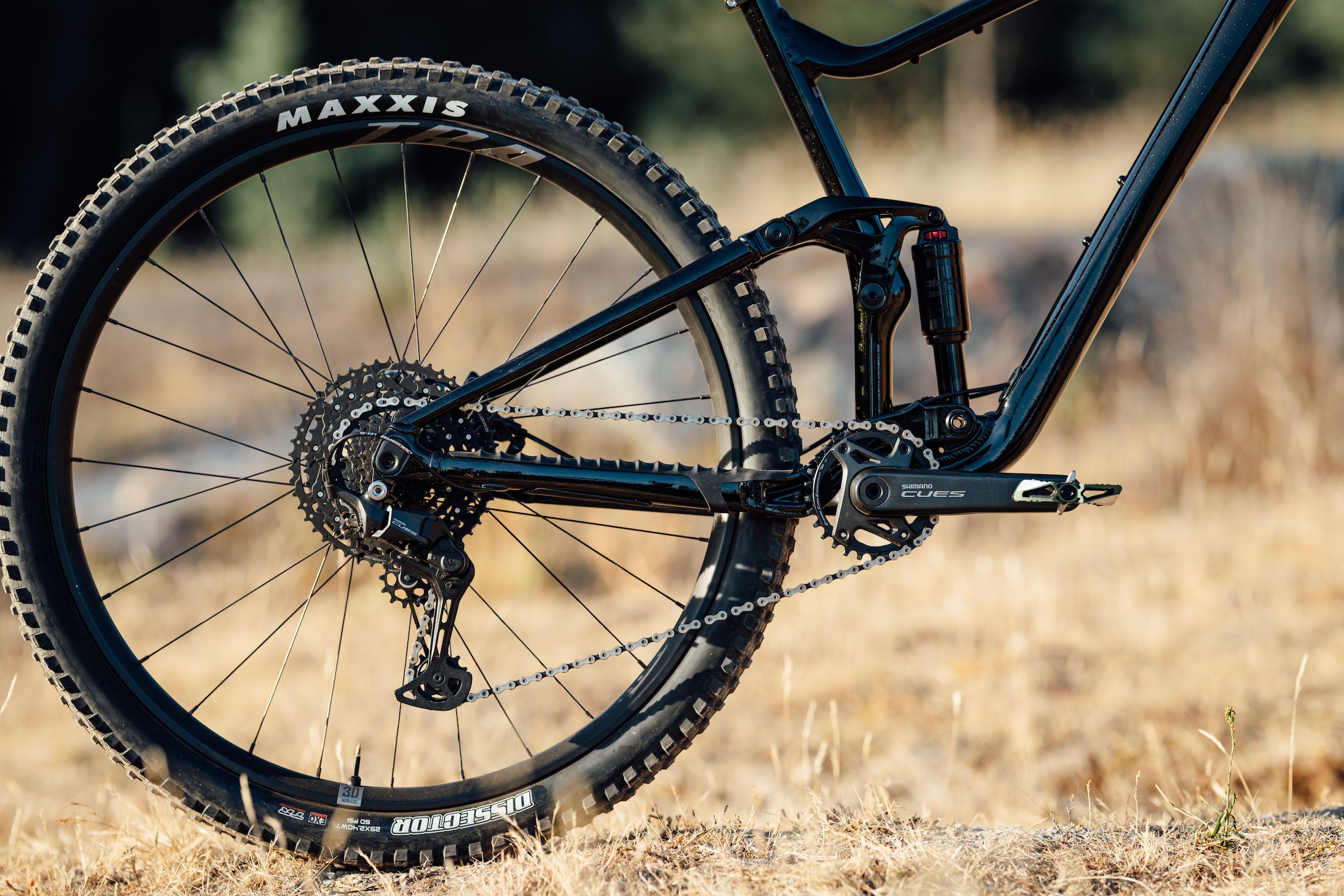 2025 giant stance 29