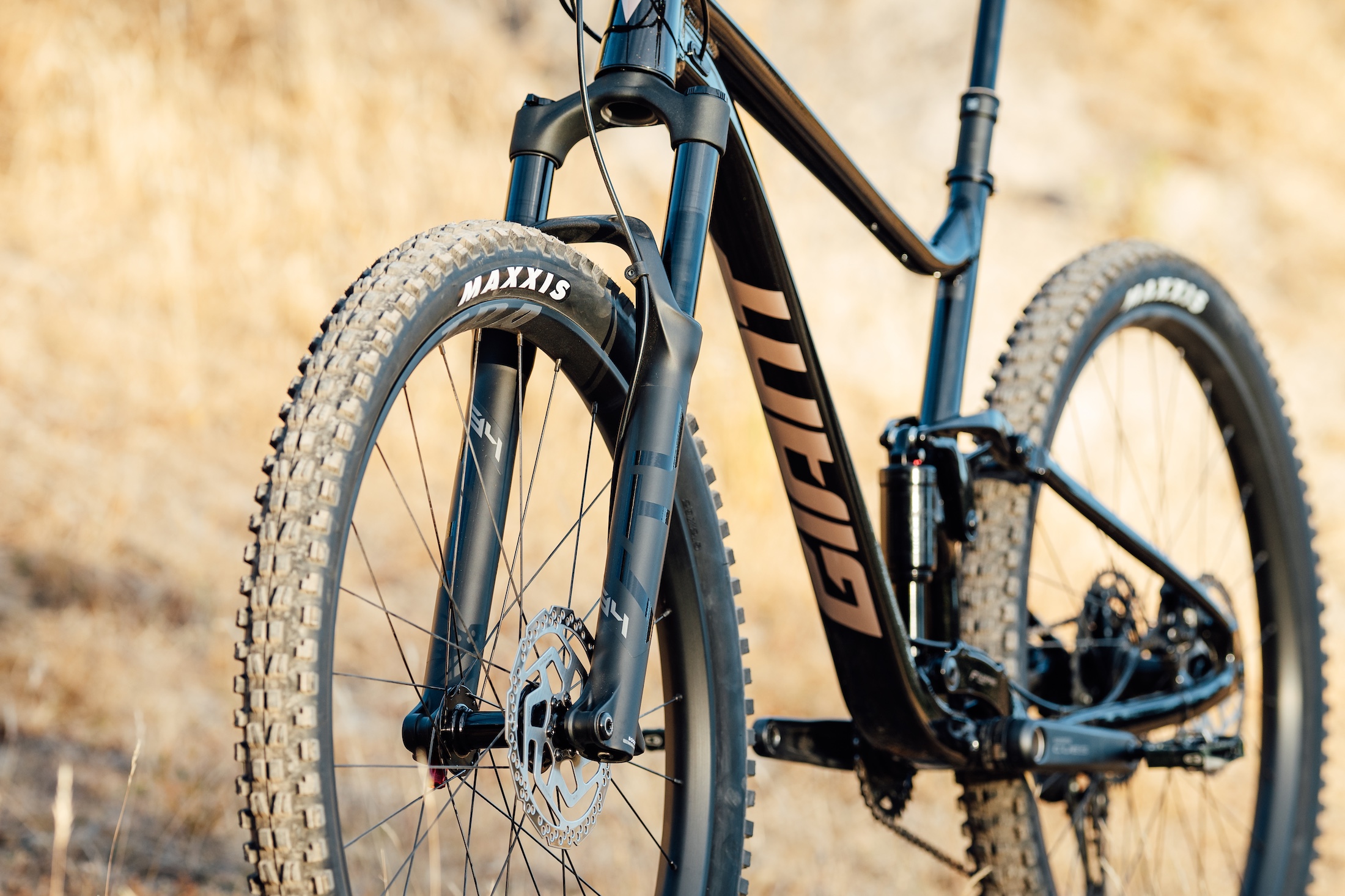 2025 giant stance 29