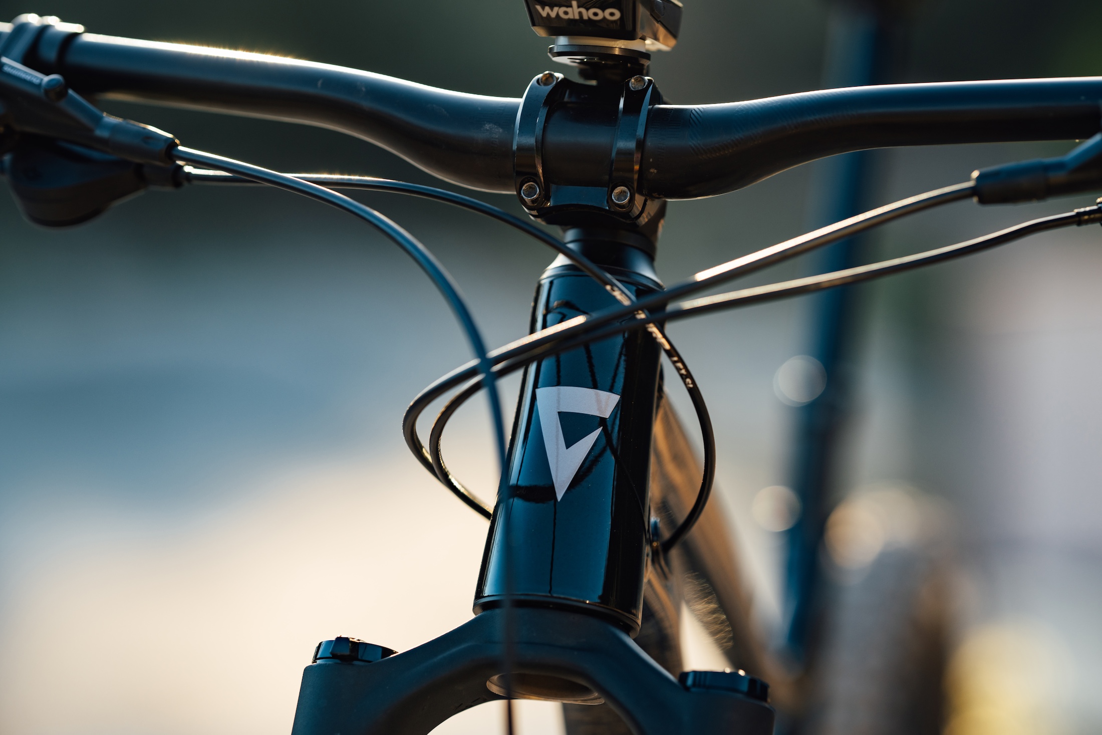 2025 giant stance 29