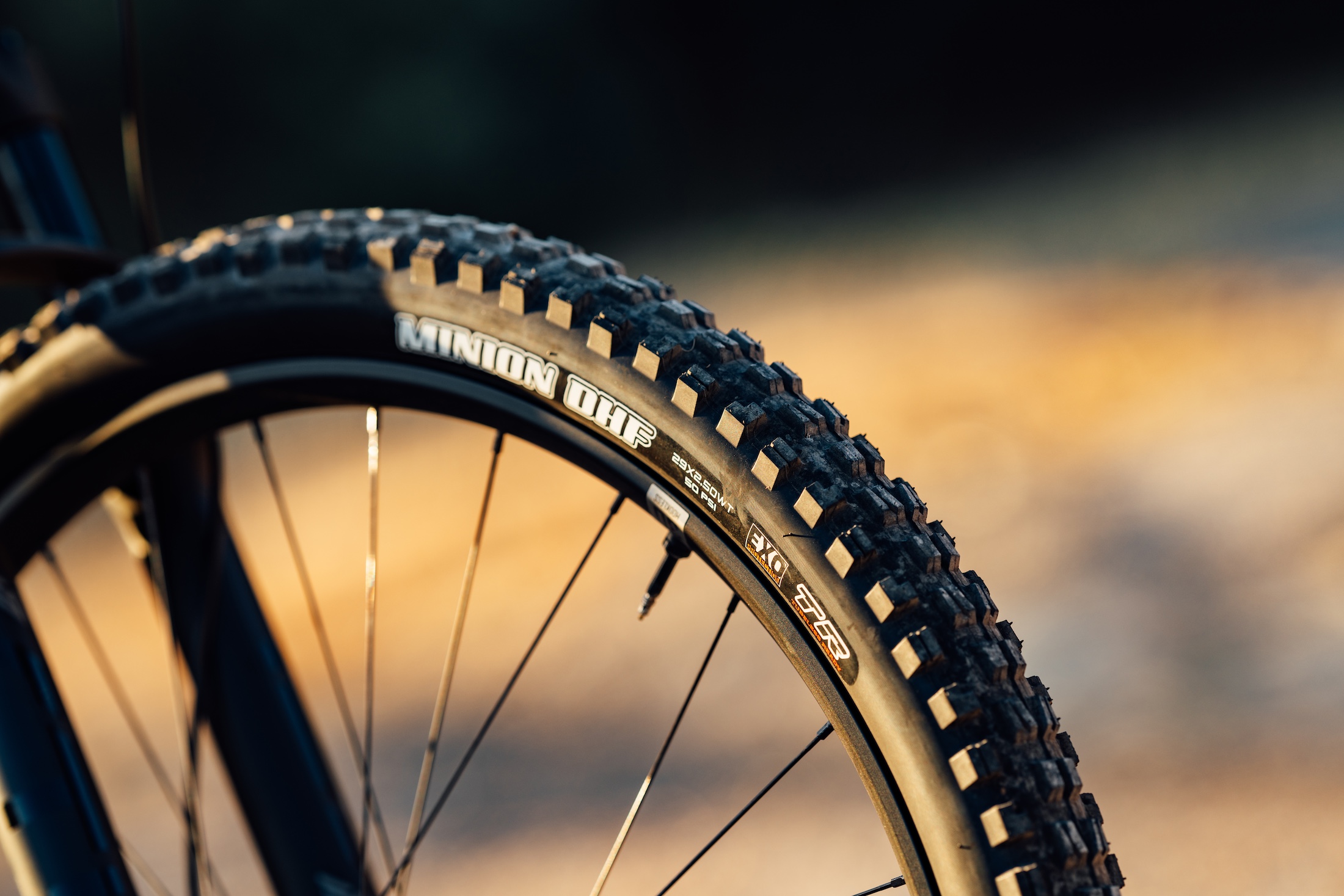 2025 giant stance 29