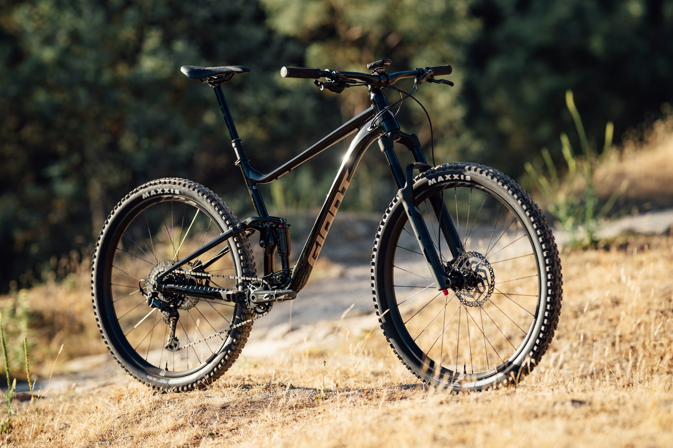2025 giant stance 29