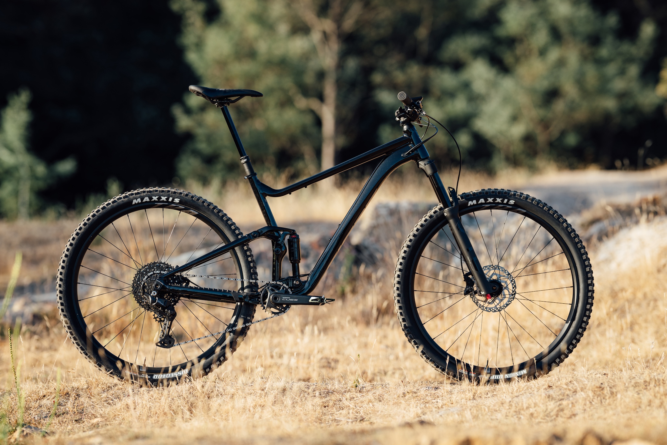 2025 giant stance 29