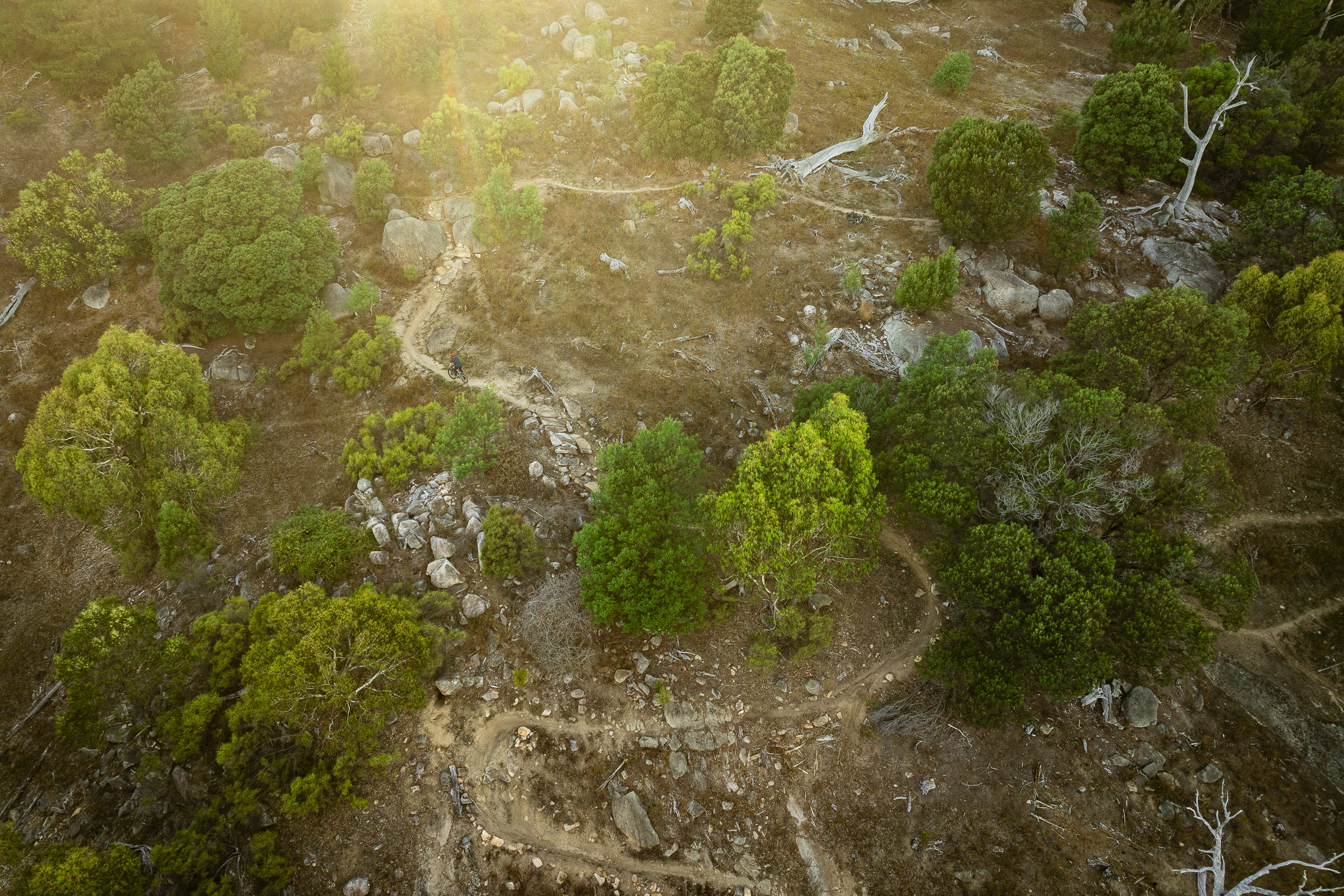 2025 santa cruz vala emtb bosch