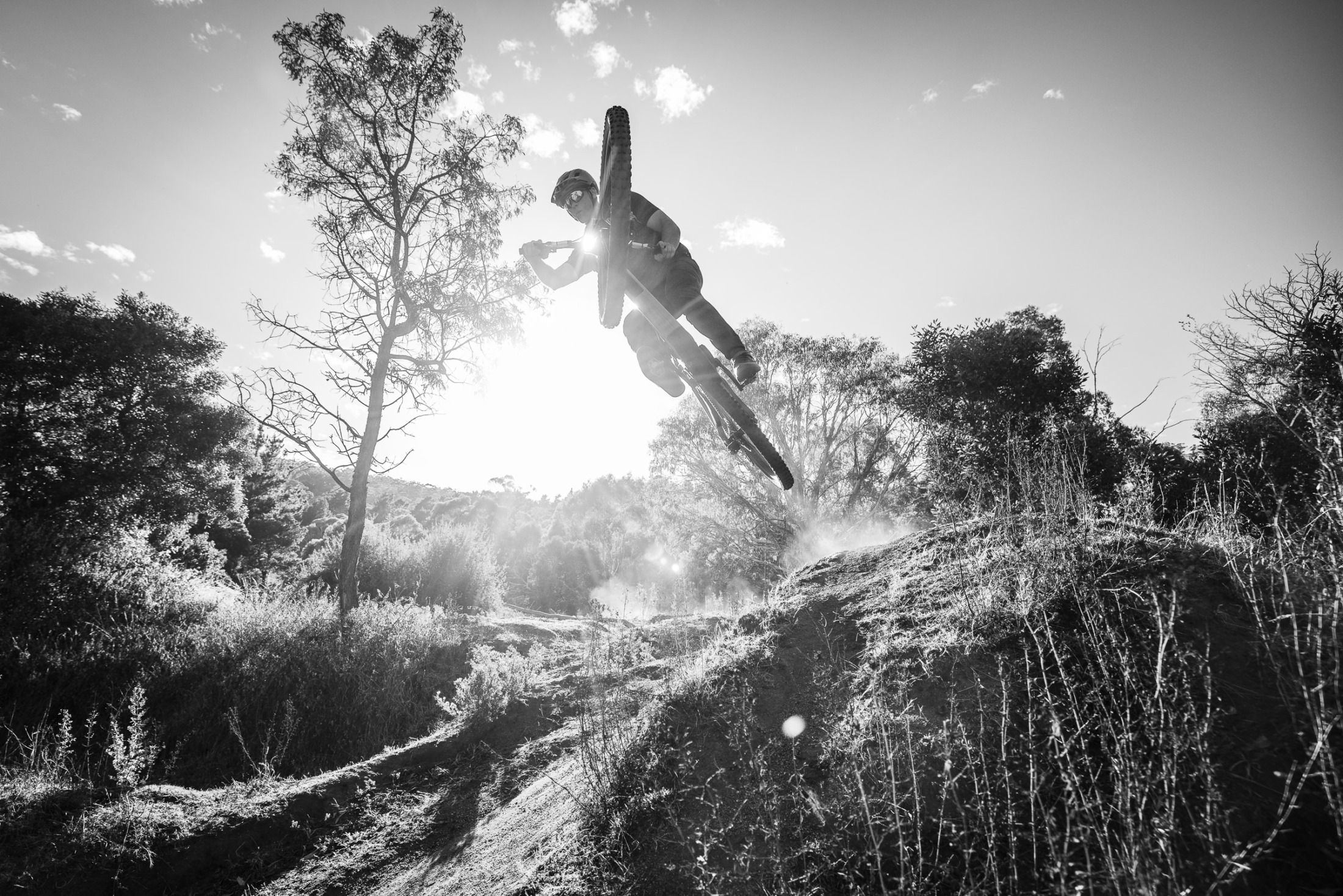 2025 santa cruz vala emtb bosch