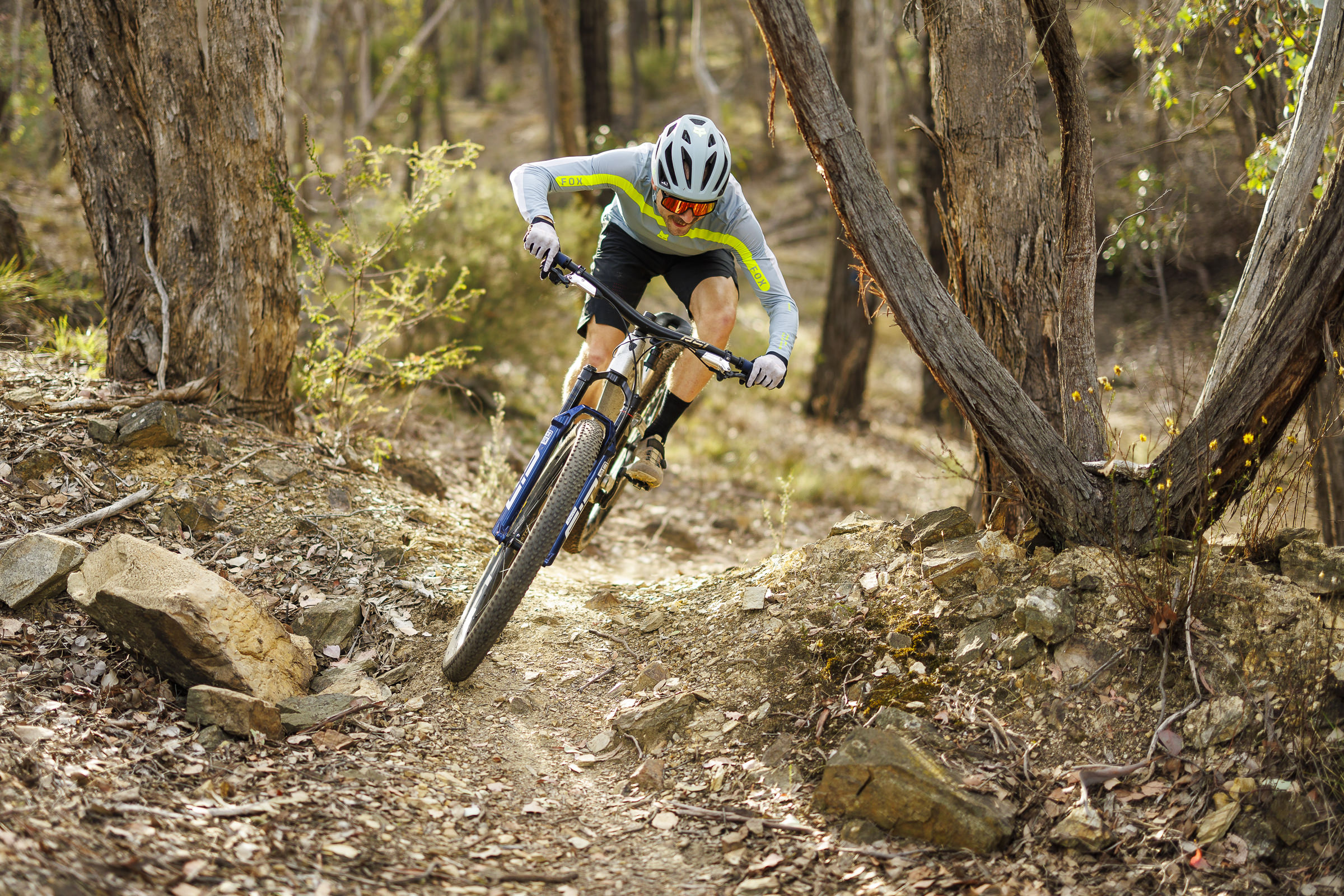 2025 rockshox sid ultimate vs fox 34 sc step-cast factory series