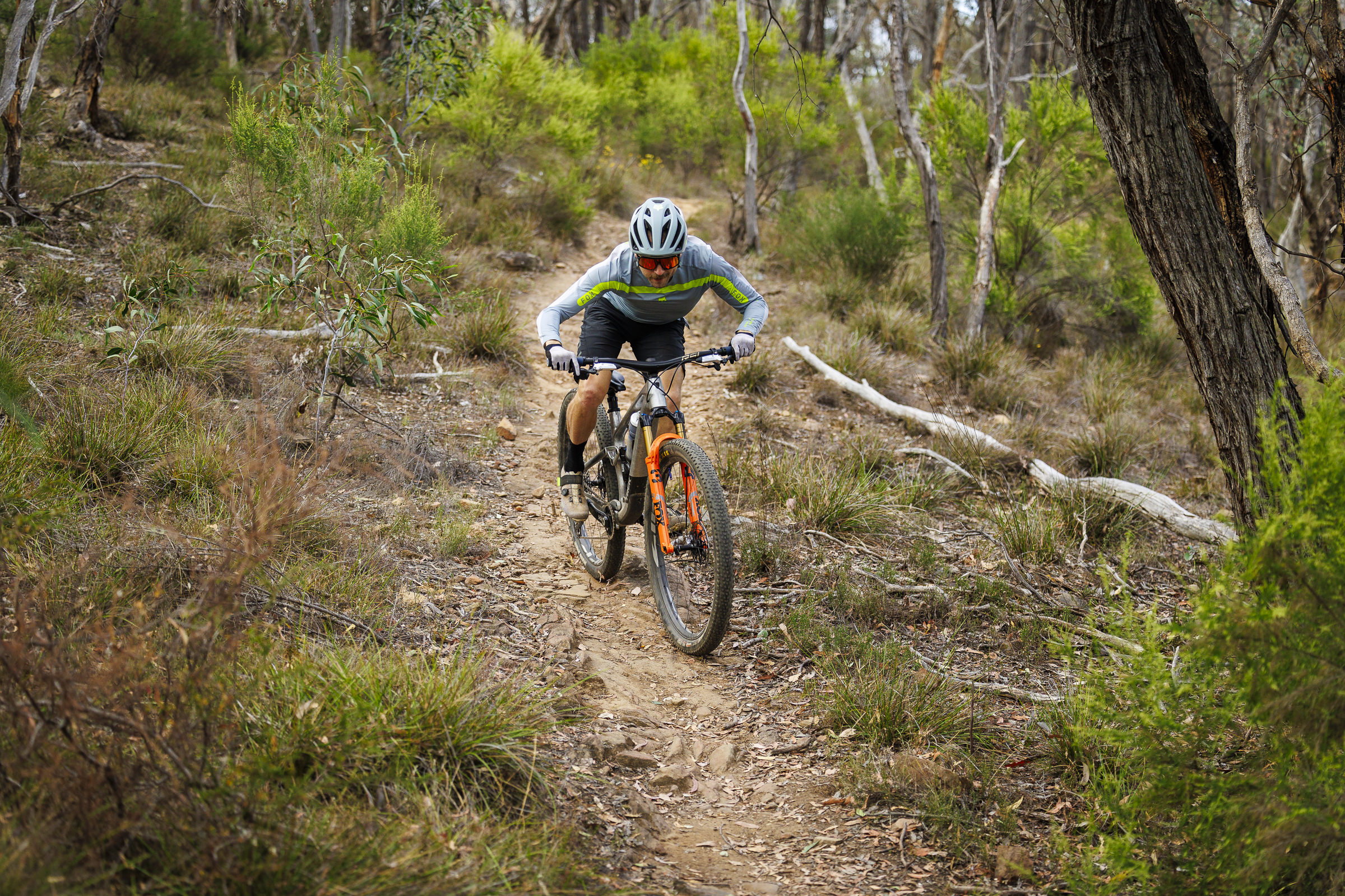 2025 rockshox sid ultimate vs fox 34 sc step-cast factory series