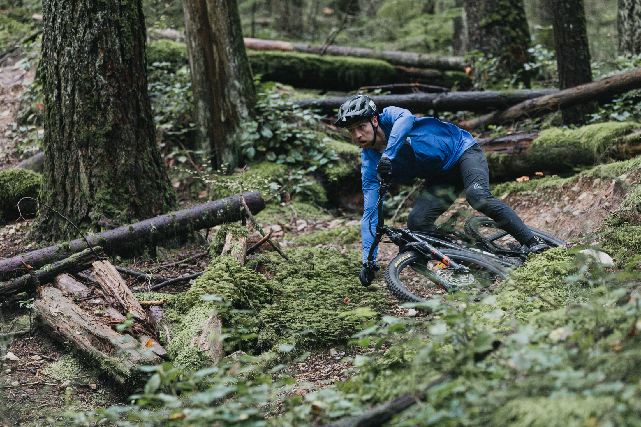 Polygon Collosus TLE action shot