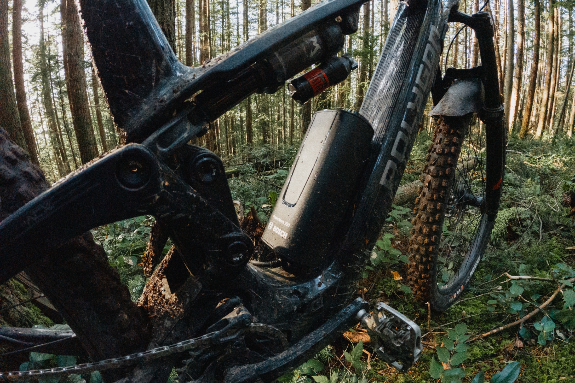 Polygon Collosus TLE Bosch SX