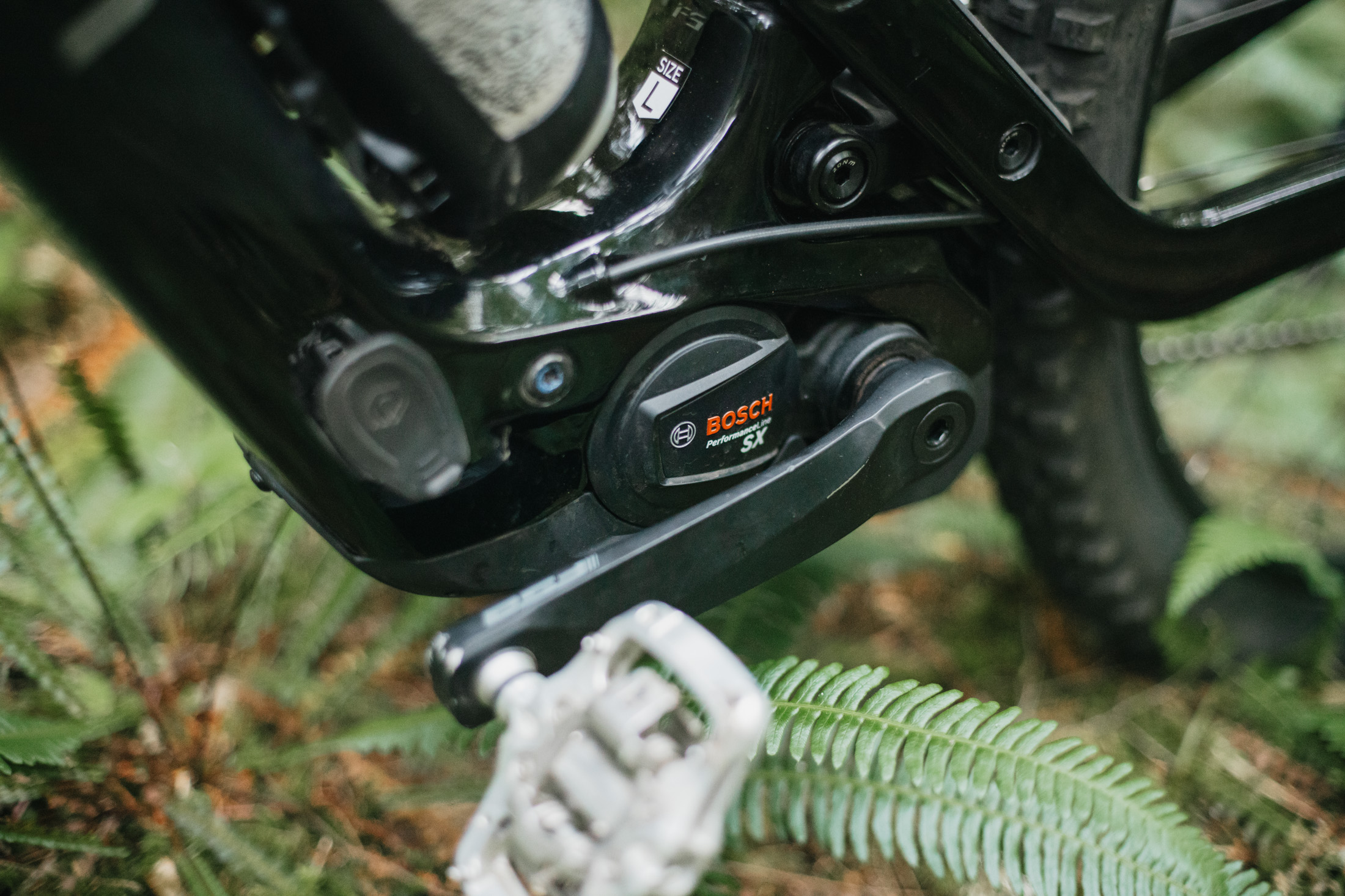 Polygon Collosus TLE Bosch SX